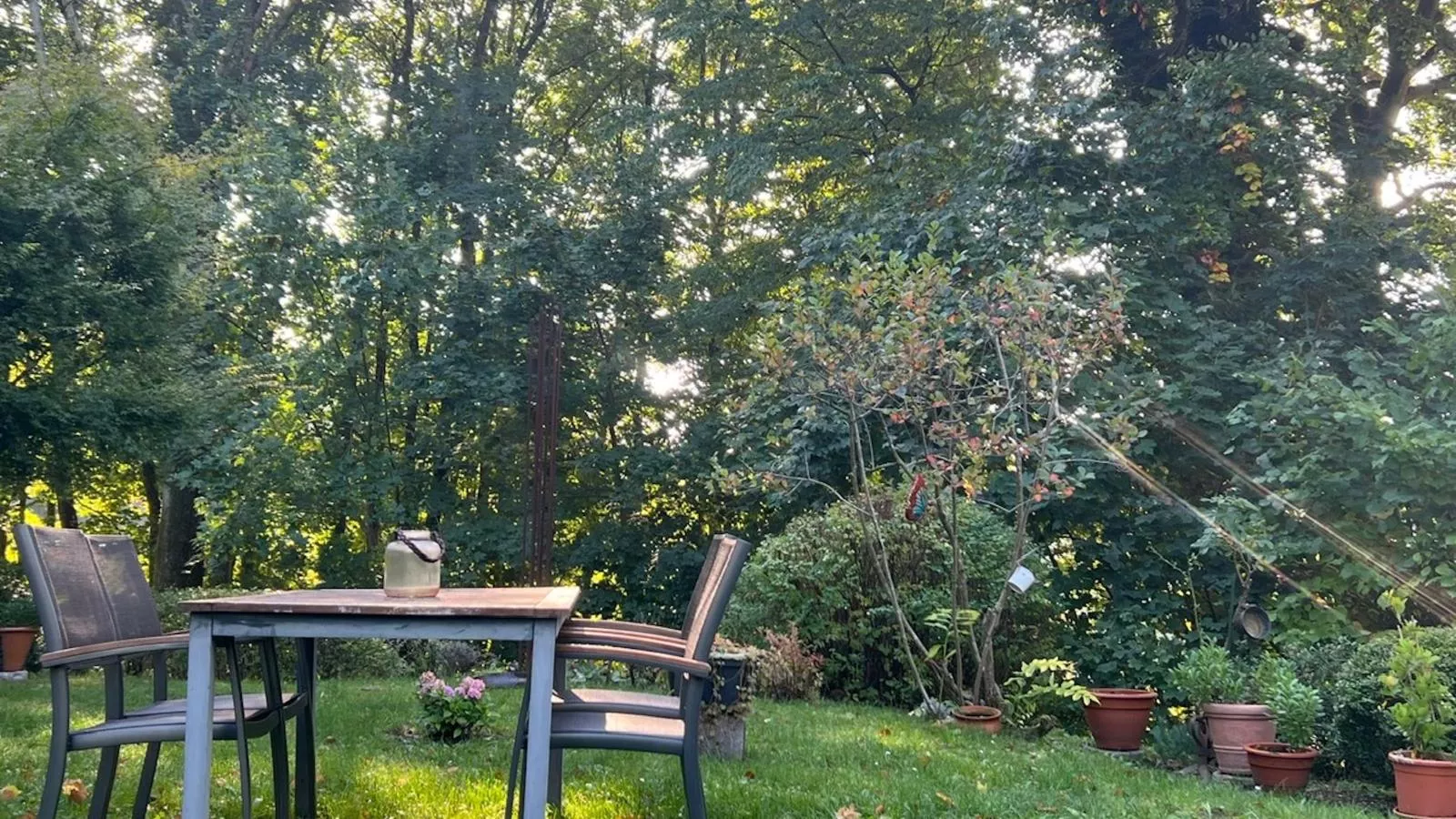 Forsthaus Heinrichsbach-Garten Sommer