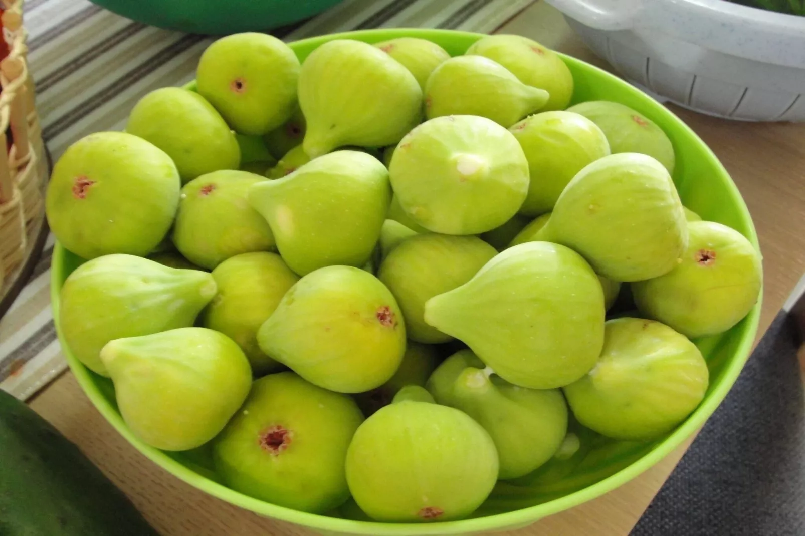 Apartments Villa Tanja - Two Bedroom Apartment with Terrace-Terrace