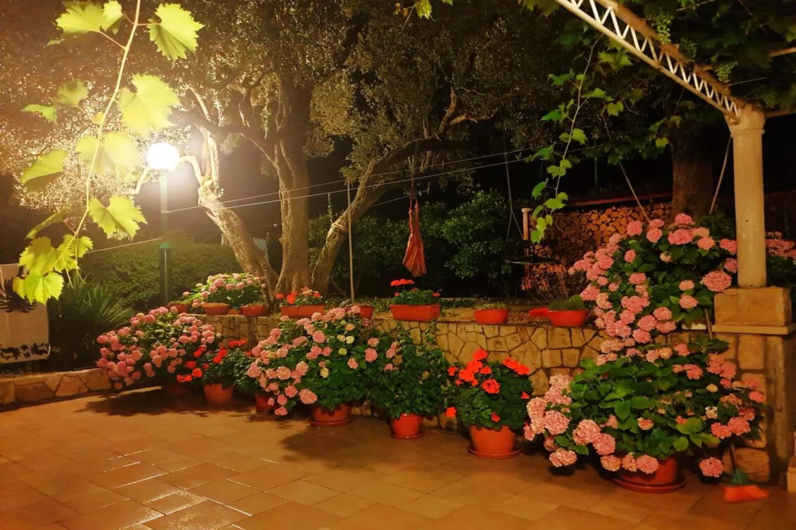 Four bedroom apartment-Outdoor