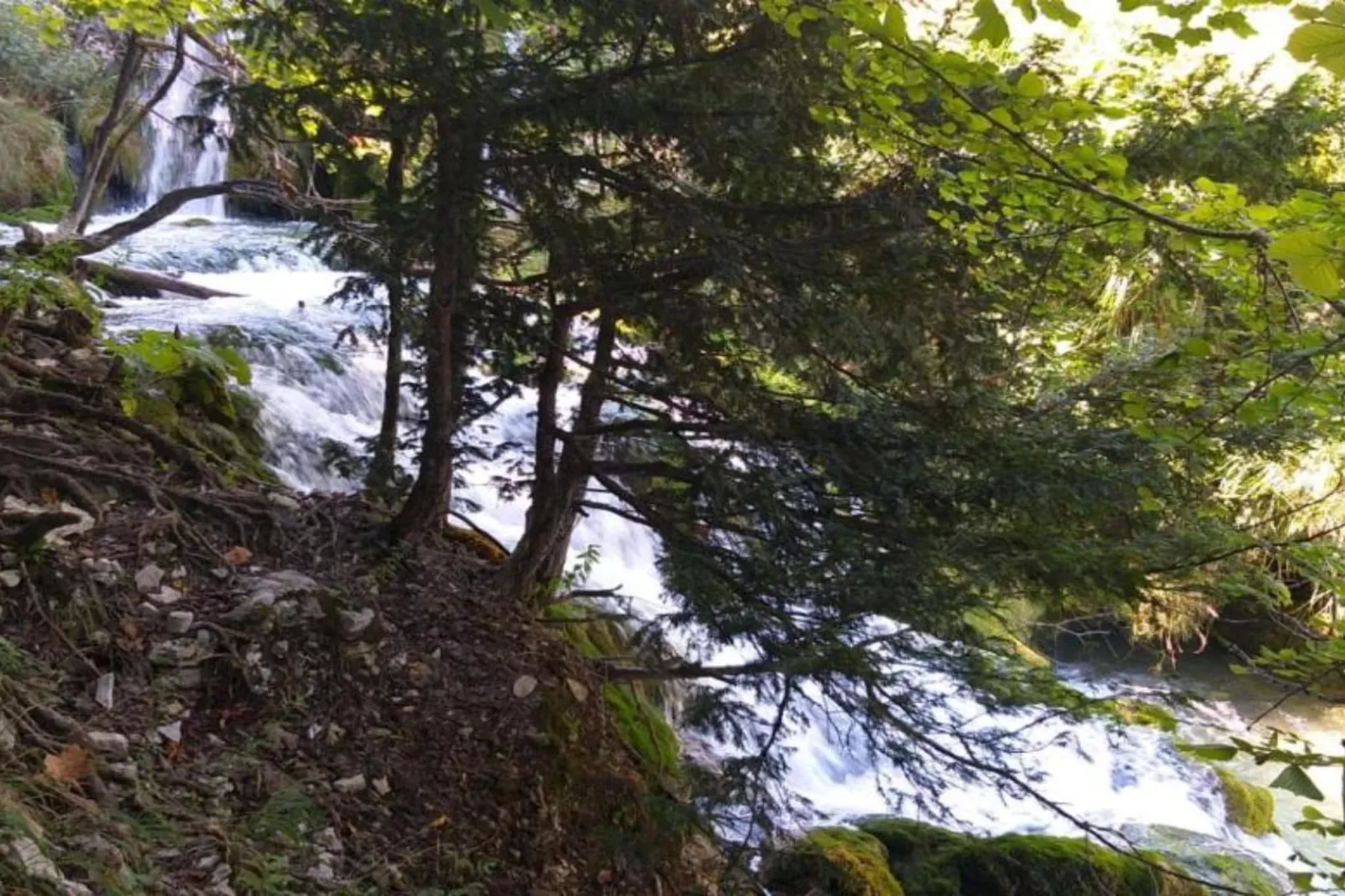 Holiday Apartment Vuković - Three Bedroom Holiday Home With Terrace-Vue