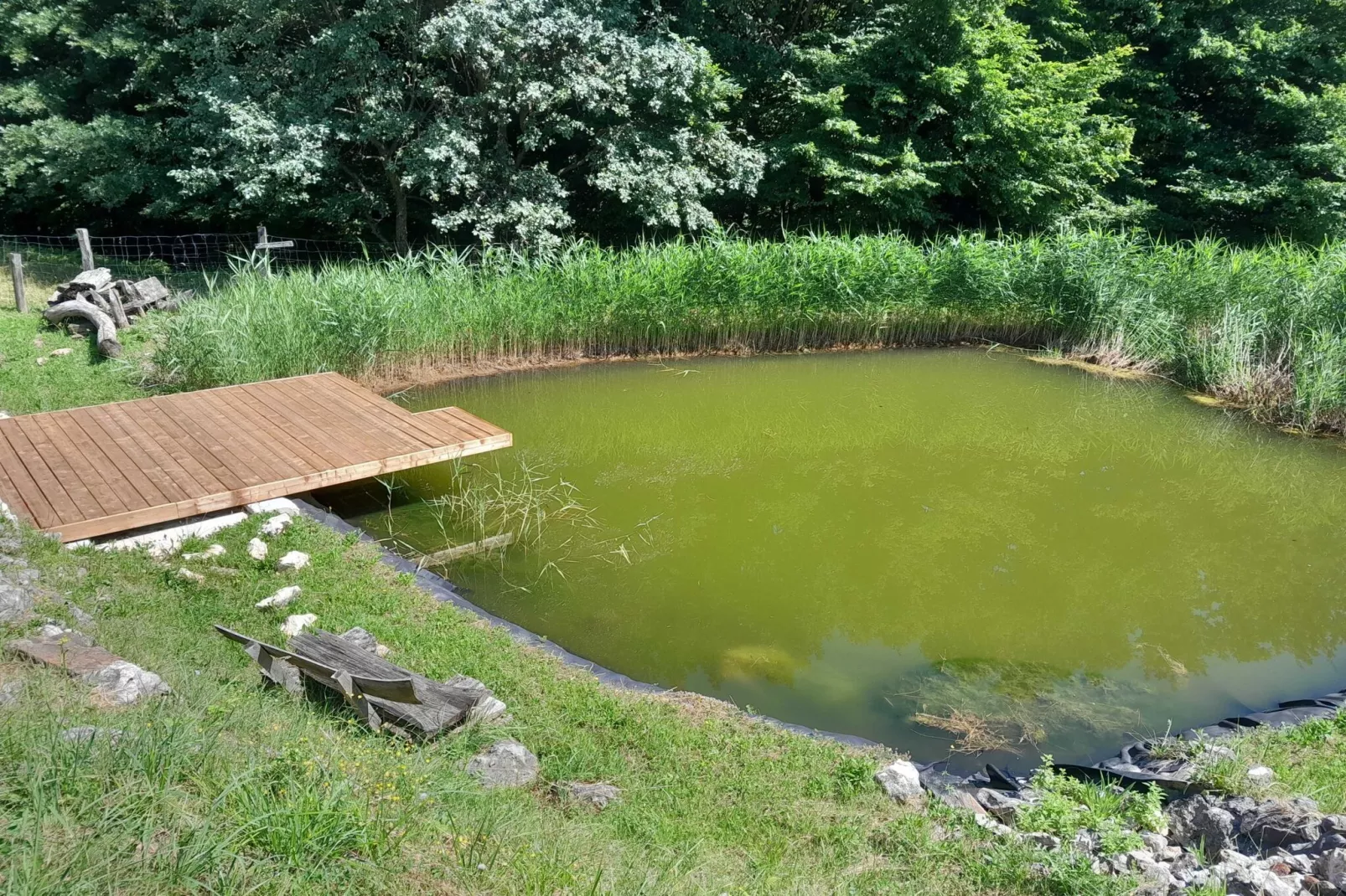 Hidden Authentic Haven Apartments - One Bedroom Apartment with Terrace-Outdoor