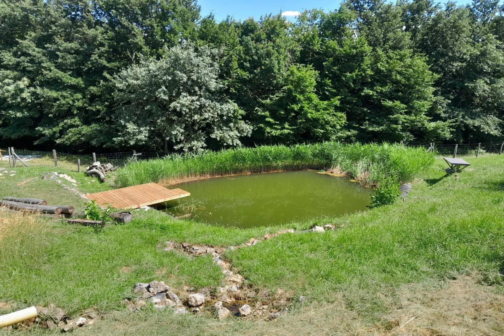 Hidden Authentic Haven Apartments - Two Bedroom Apartment with Balcony-Outdoor