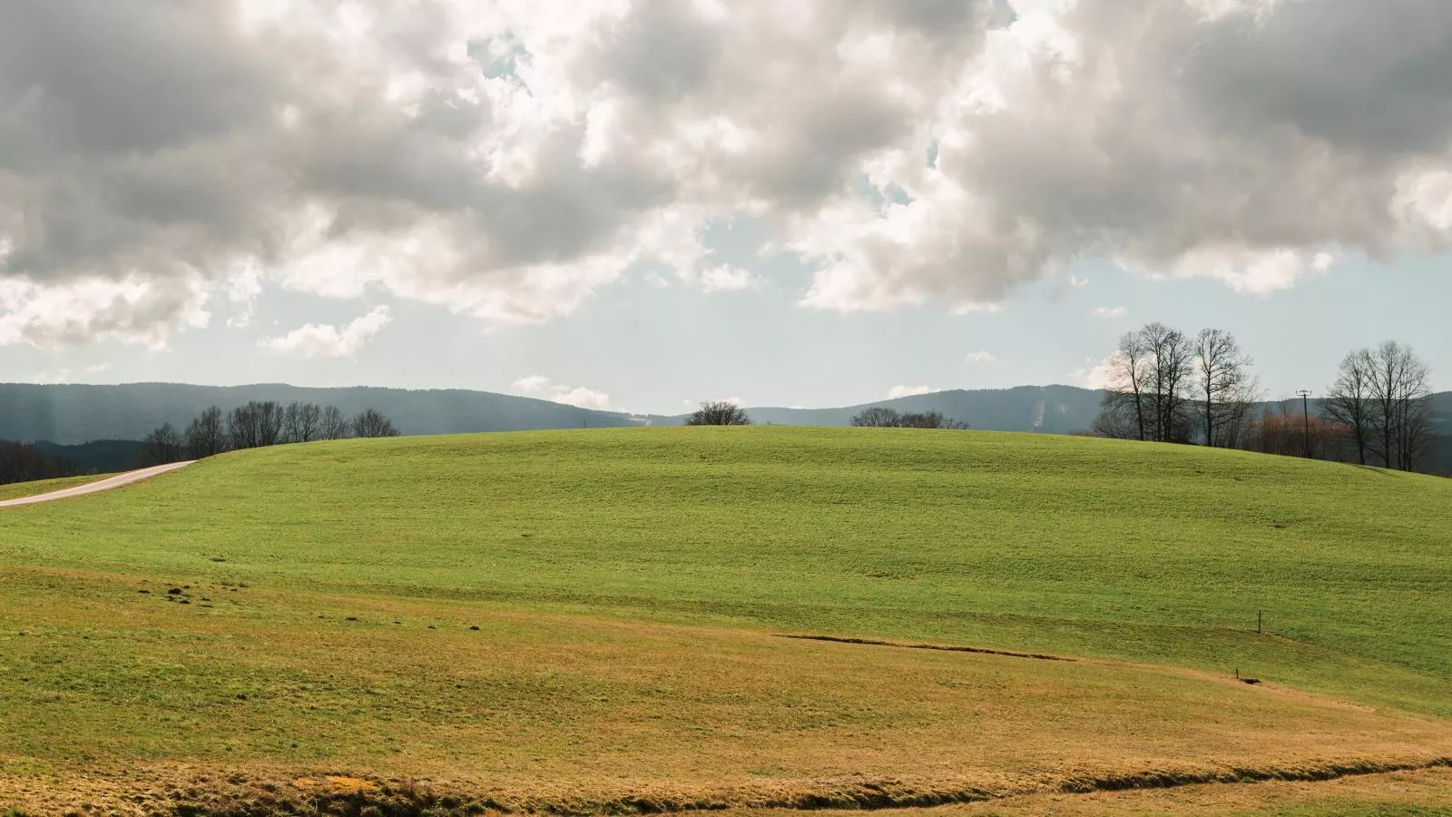 Im Bayerischen Wald-Vue d'été