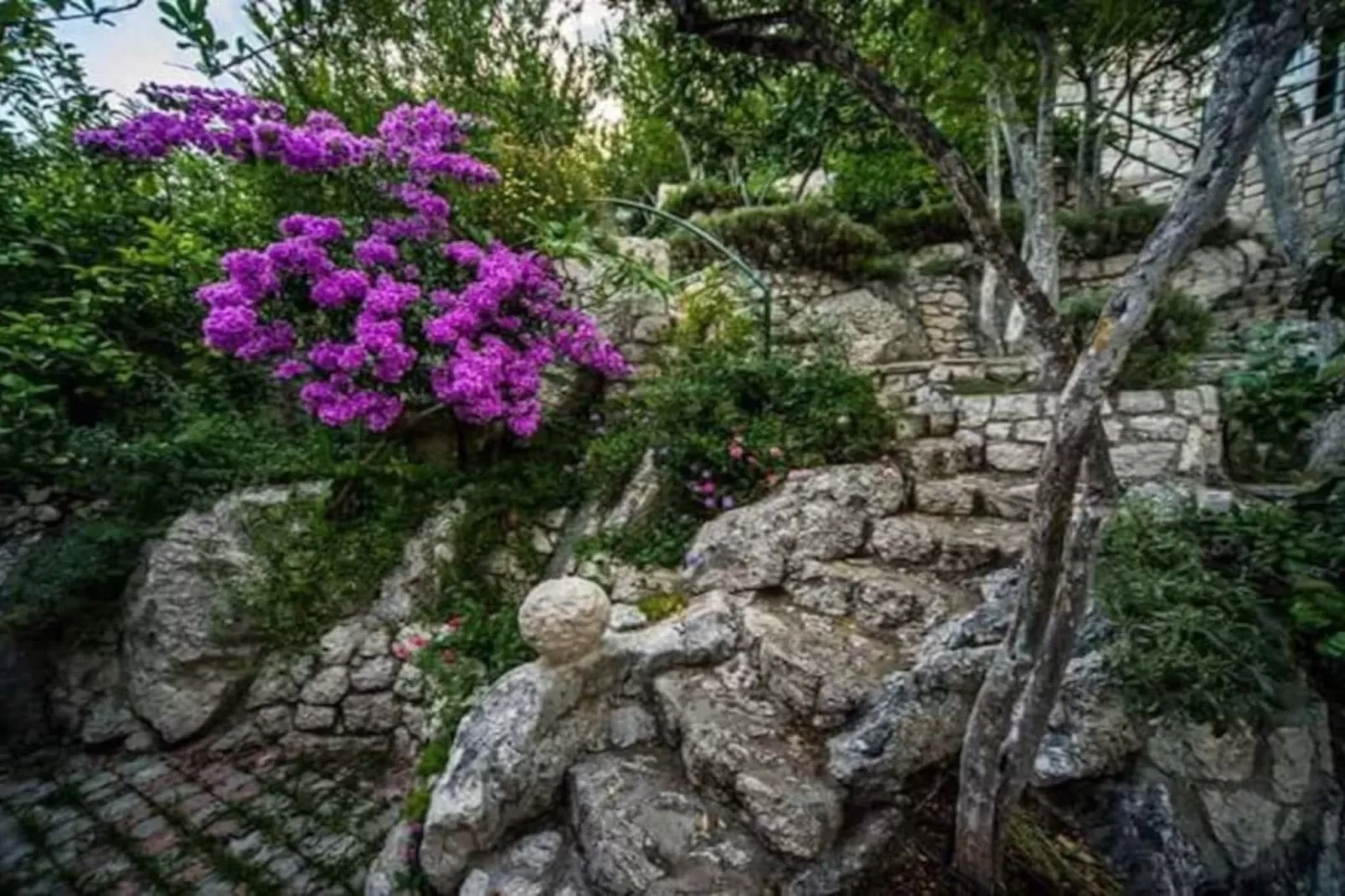 One-Bedroom Apartment With Lake View