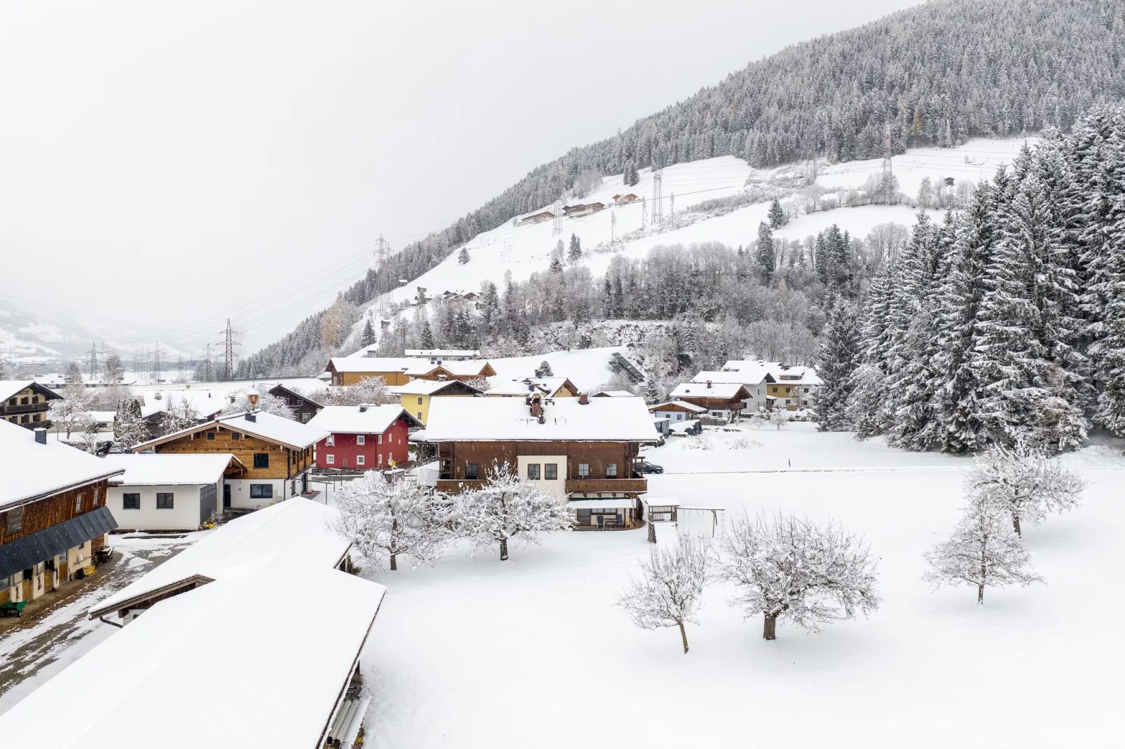 Apartment "Sonnberg"-Area within 5km in winter