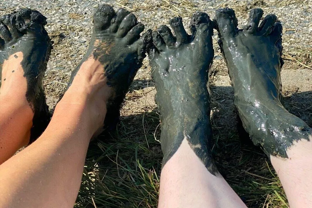 165895-Nicht zugeordnet