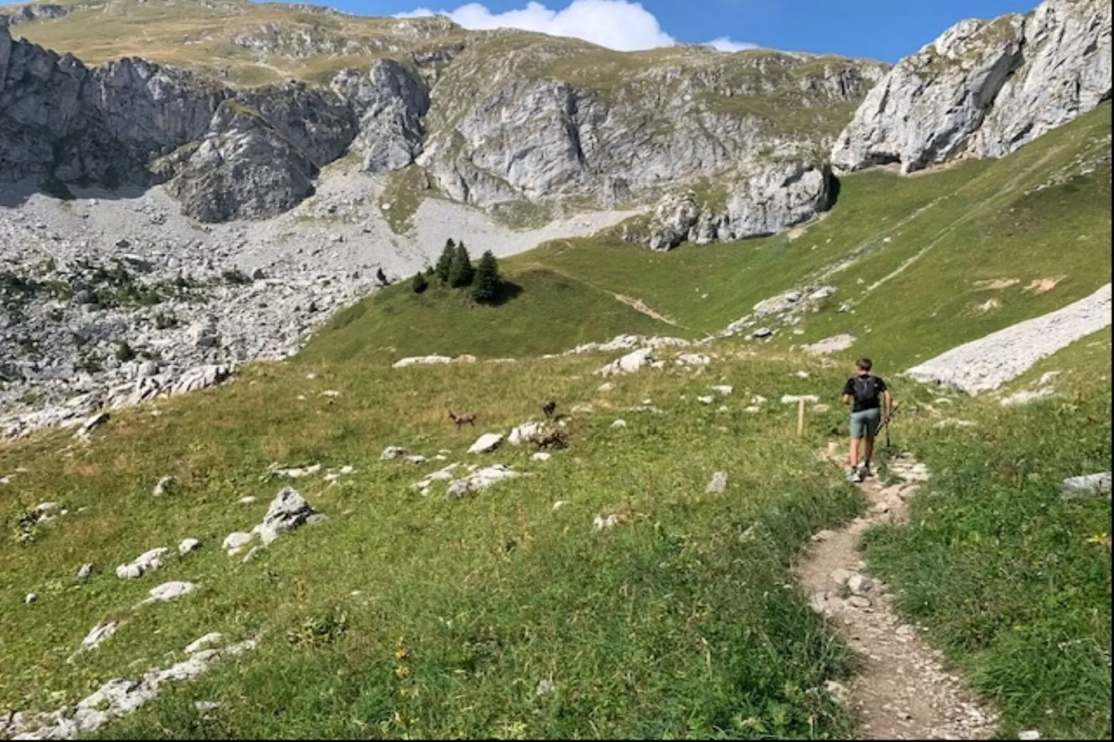 Les Sorbiers-Areas within 5km in summer