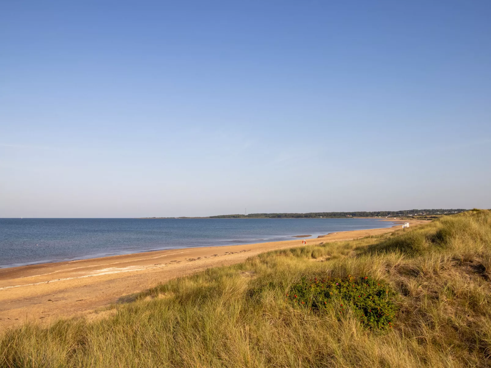 Frösakull Paradiset-Dehors