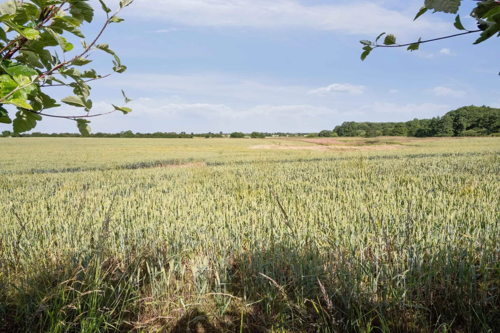 5 etoiles maison de vacances a Haderslev