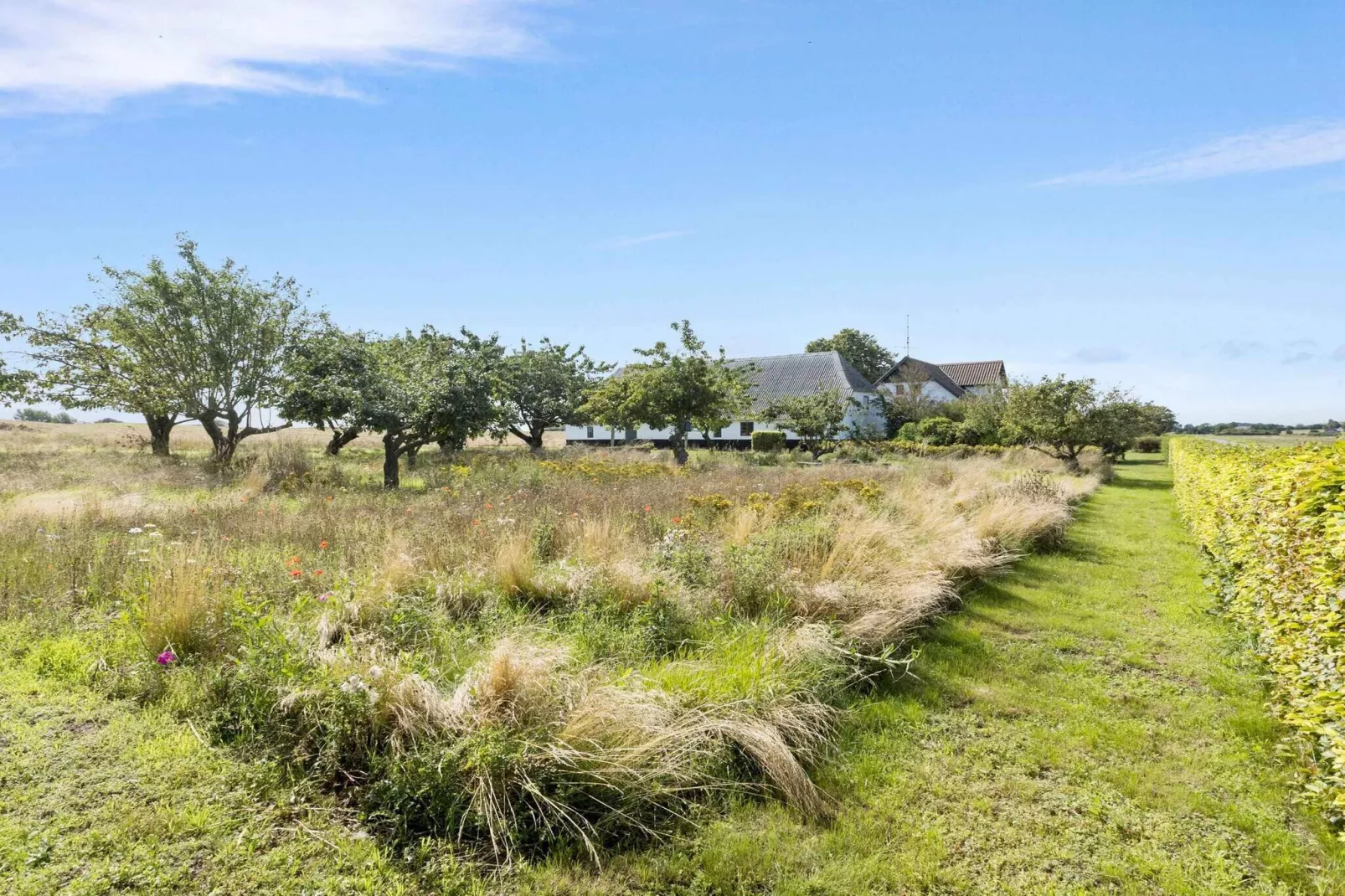 5 Sterne Ferienhaus in Bagenkop-Aussicht