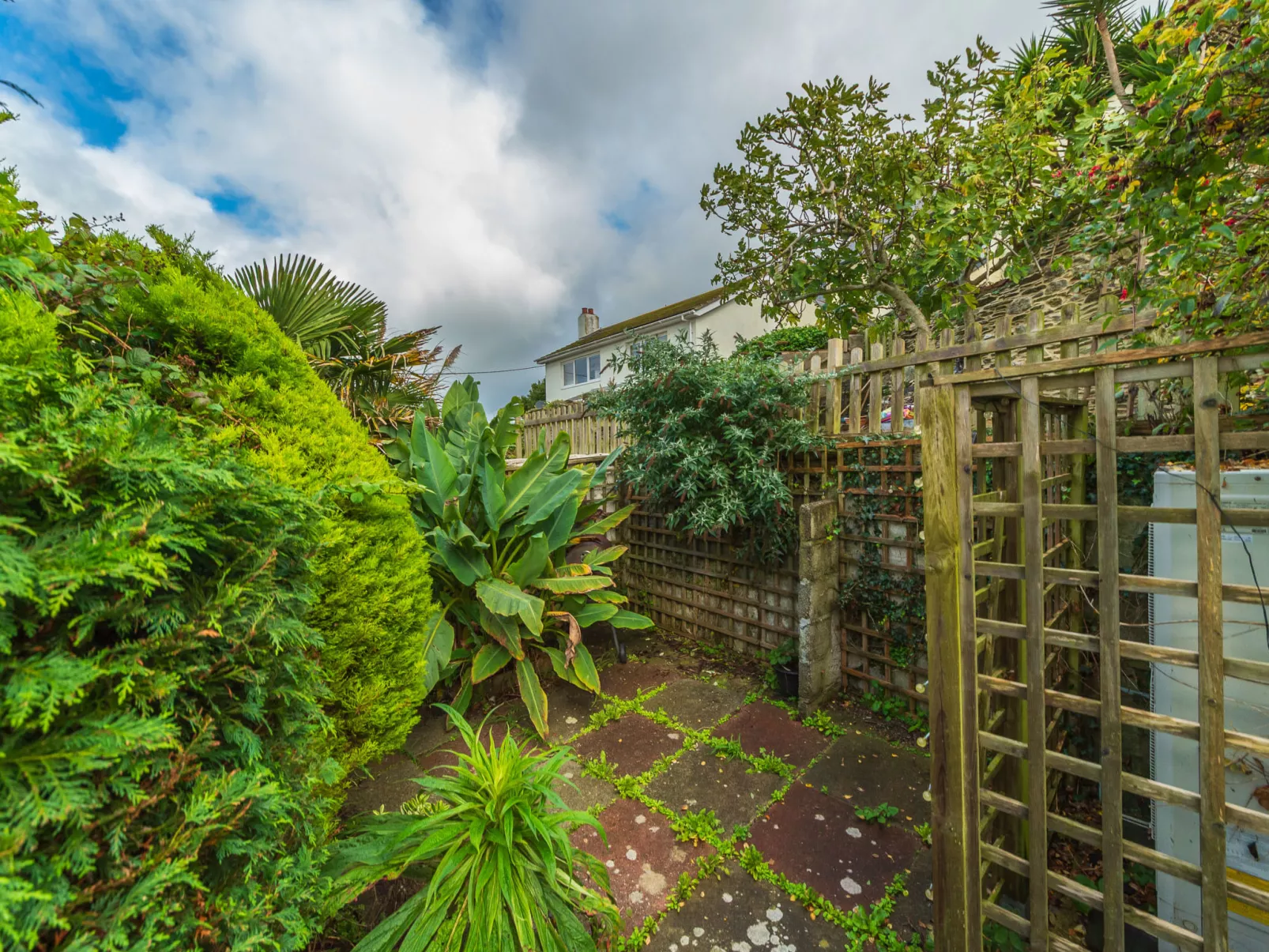 Shanty Cottage-Dehors