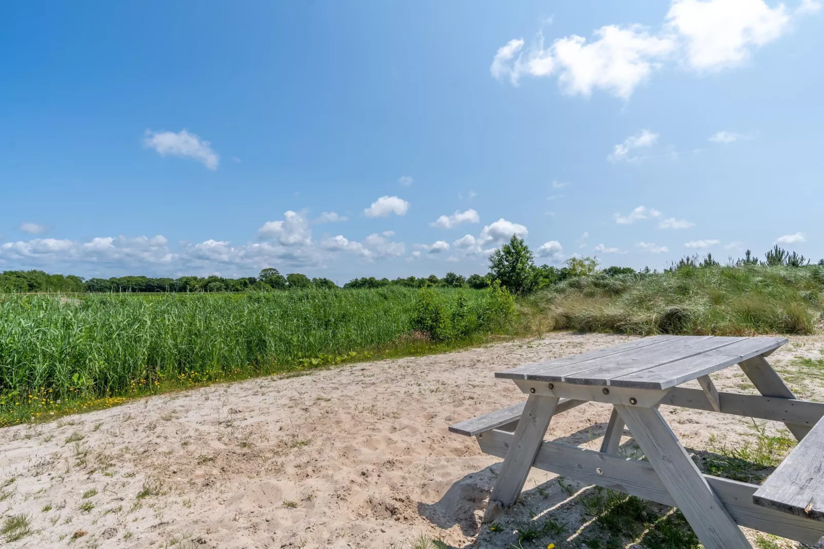 Strandvilla Hygge-Garten Sommer