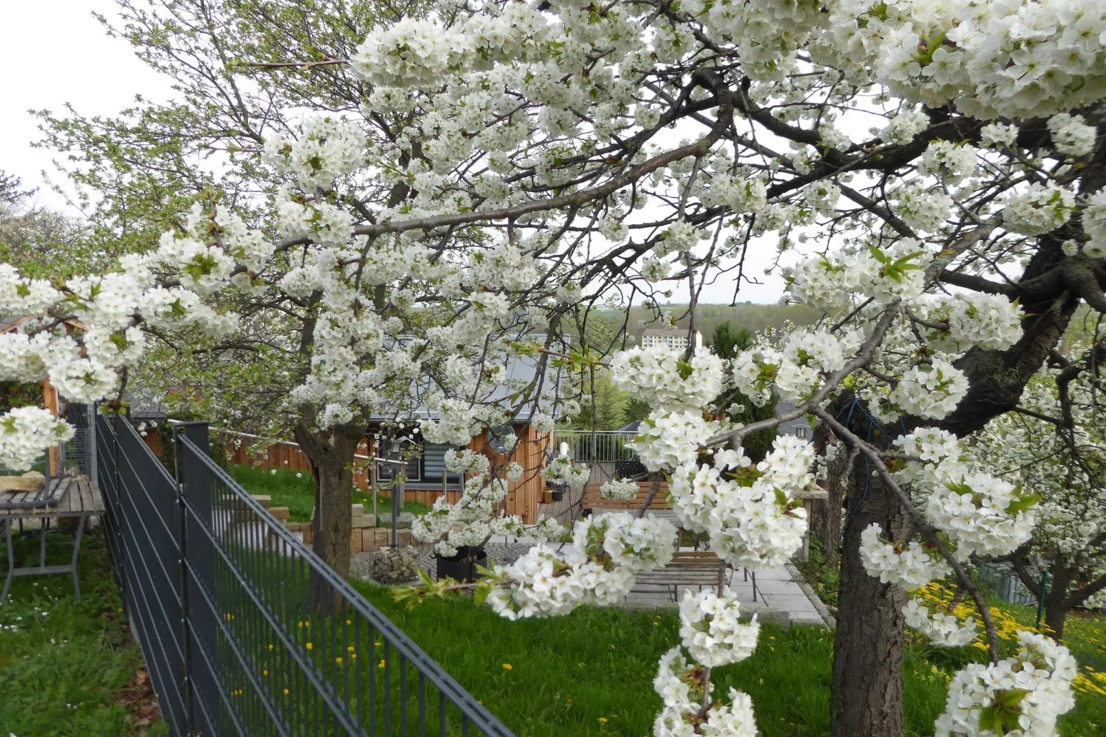 Teufelsmauerblick-Gardens in summer