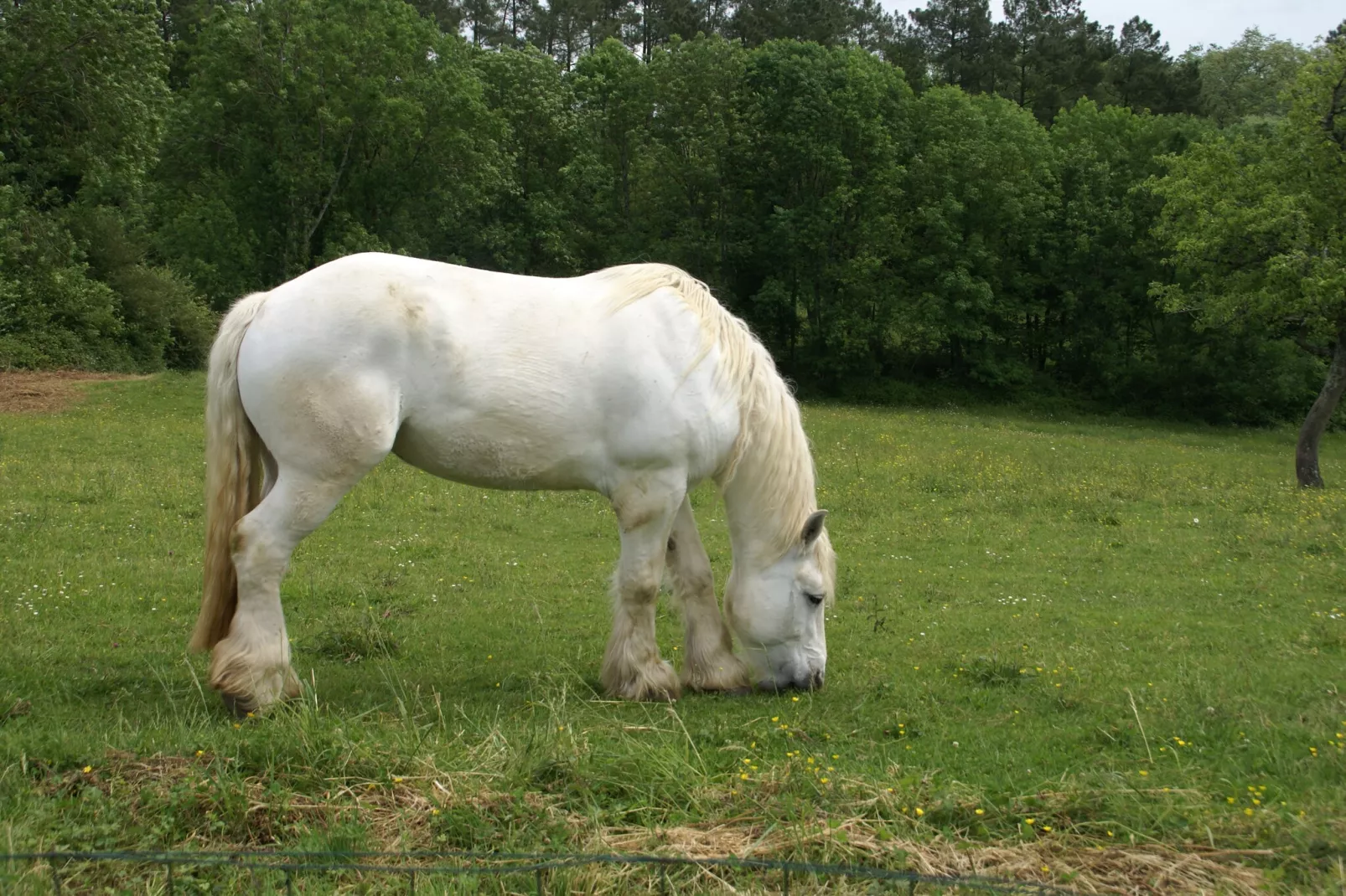 Maison de vacances Besse Les Vitarelles 6p-Areas within 5km in summer