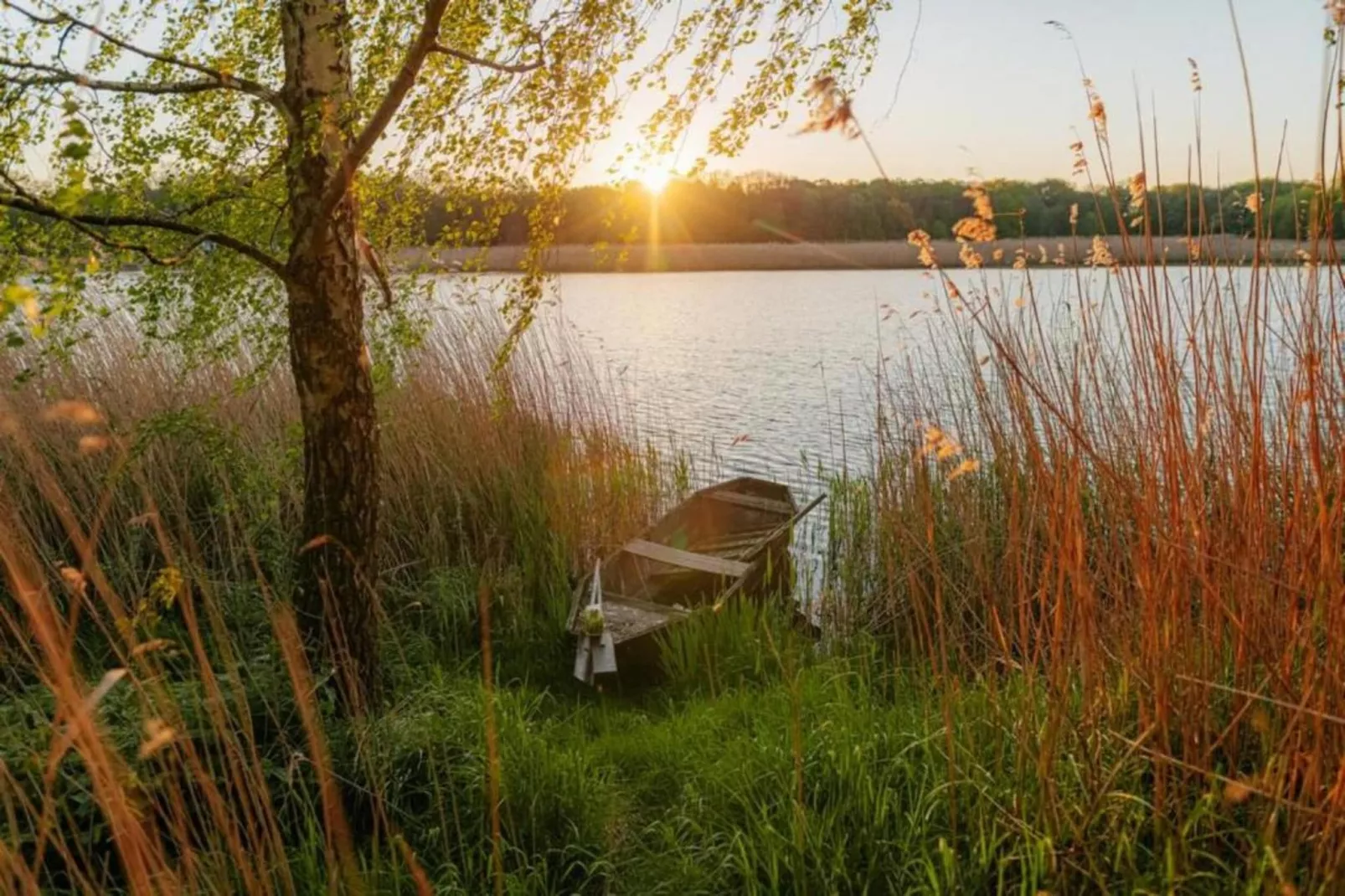 Hausboot in Zehdenick-Gebiete Sommer 20 km
