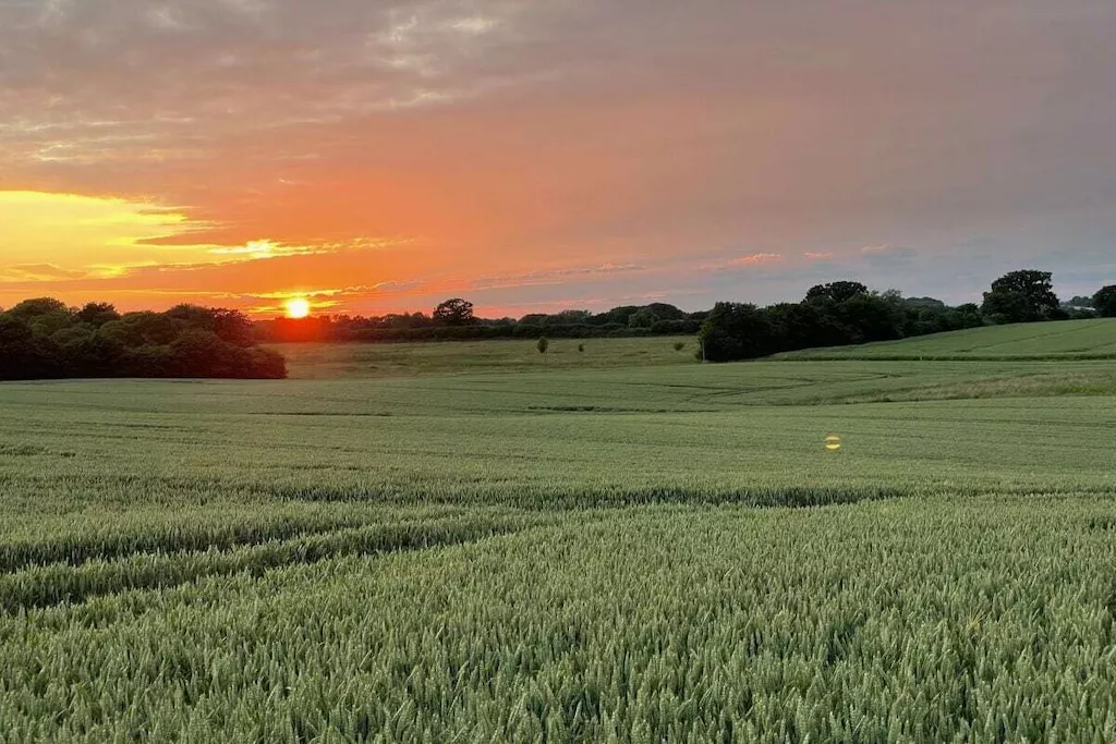 516982-Nicht zugeordnet