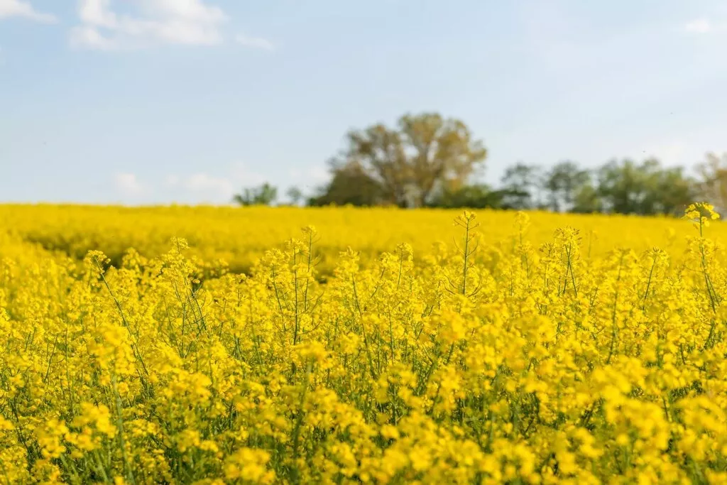192307-Nicht zugeordnet