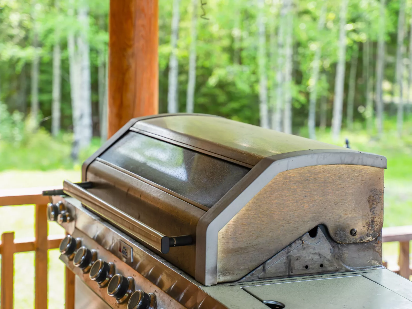 Villa joutsen-Drinnen