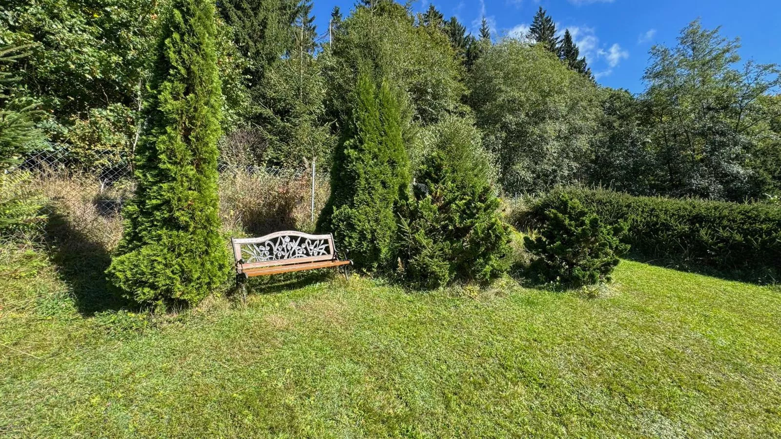 Am Arnsberg-Aussicht Sommer