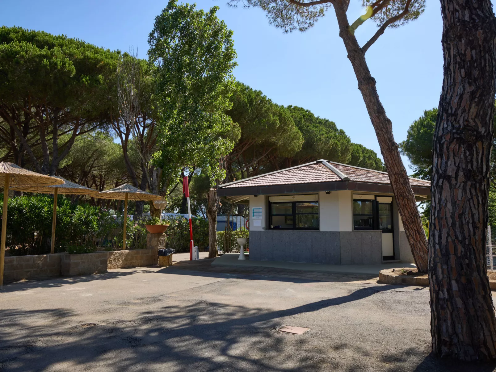 Costa D'Argento-Outside