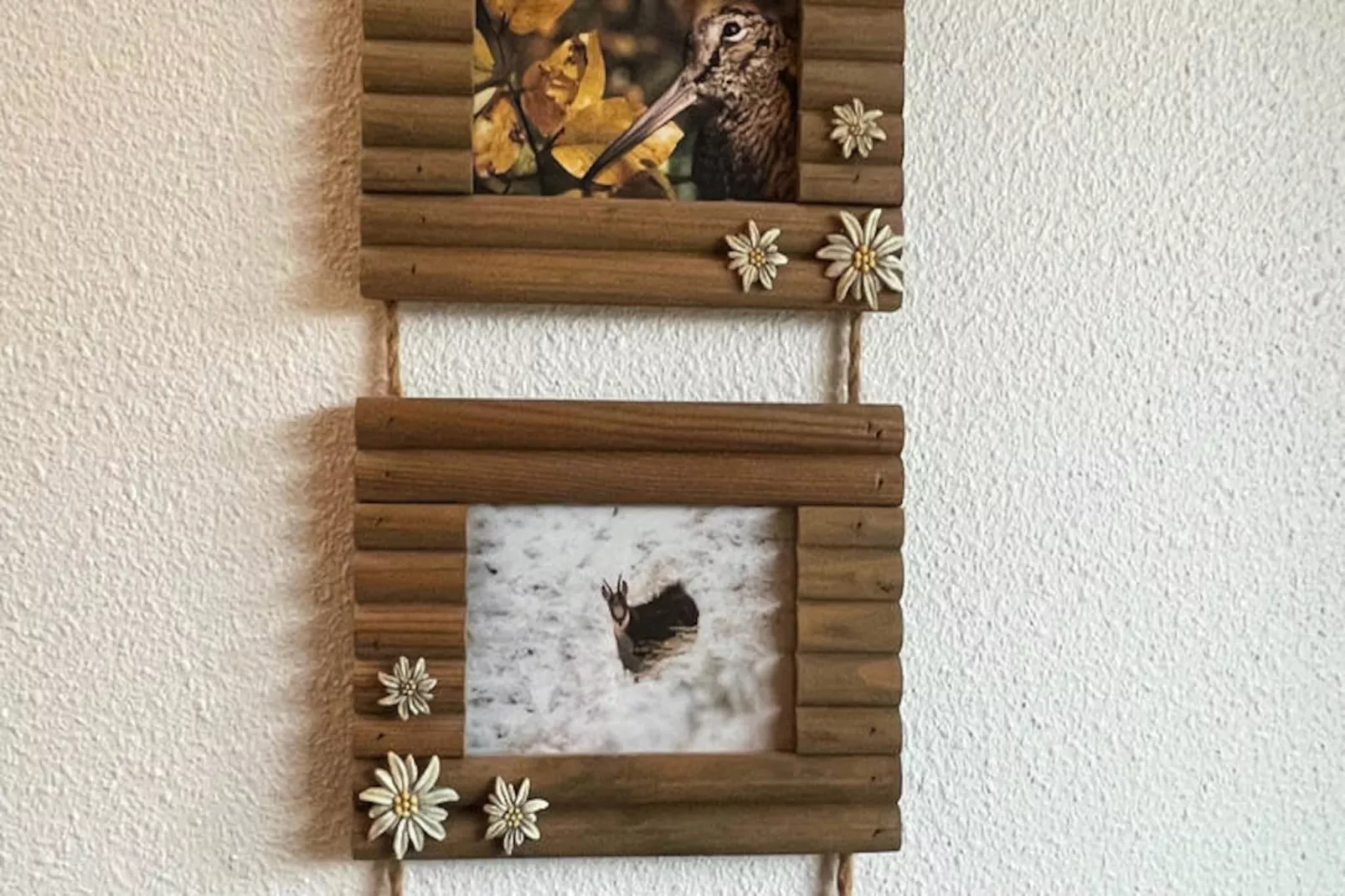 Appartements à Le Lioran-Untagged