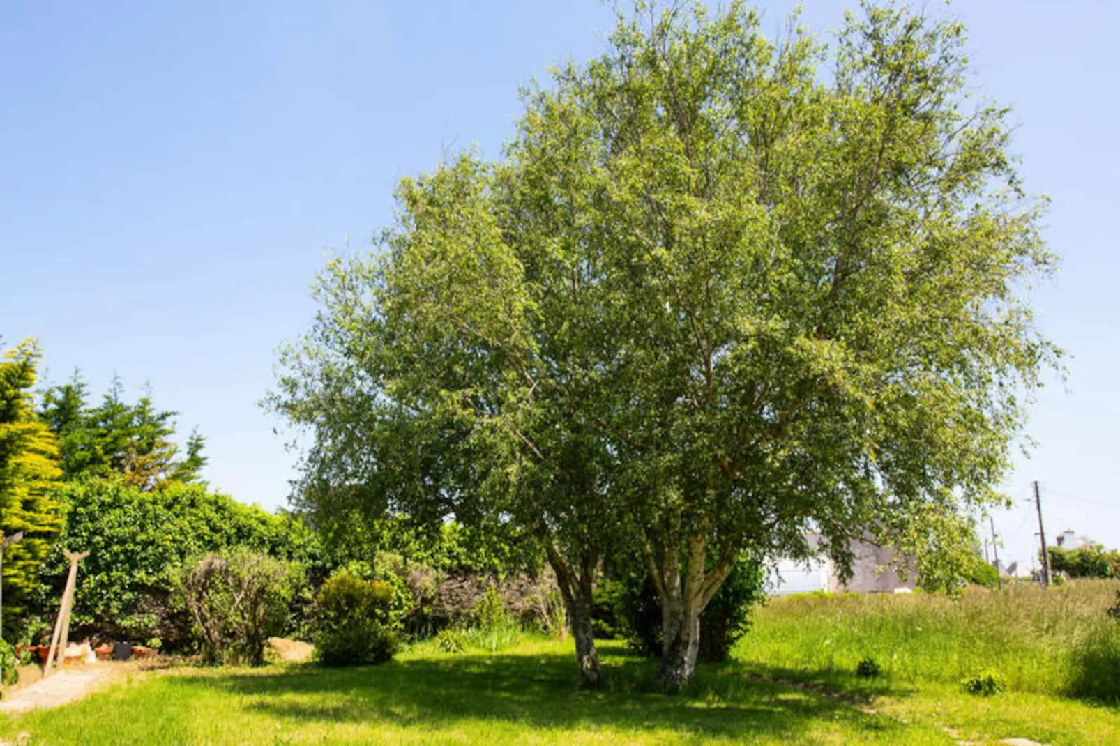 Maison à Penmarc'h-Nicht zugeordnet