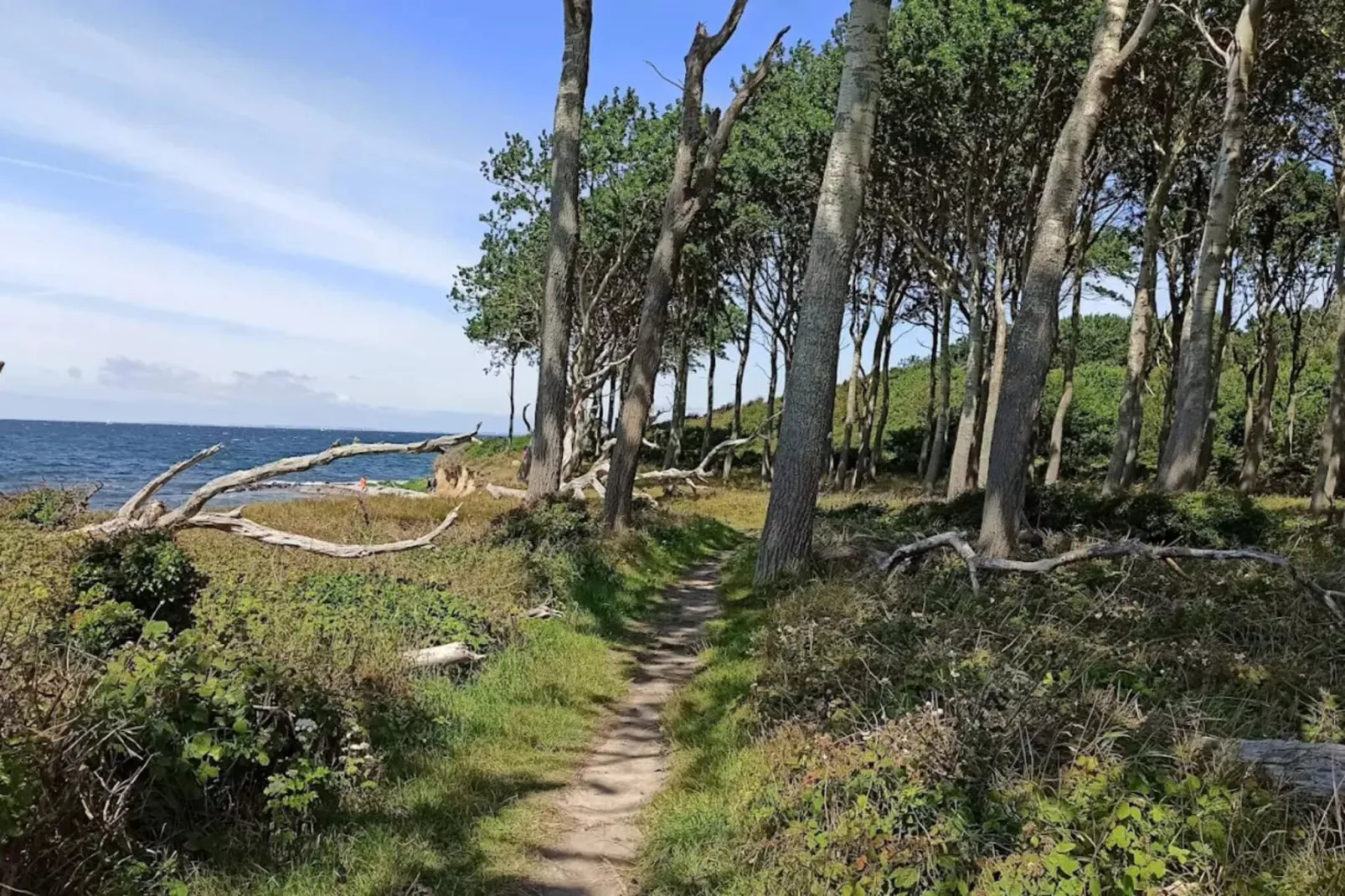 Family cottage for eight guests - Water view