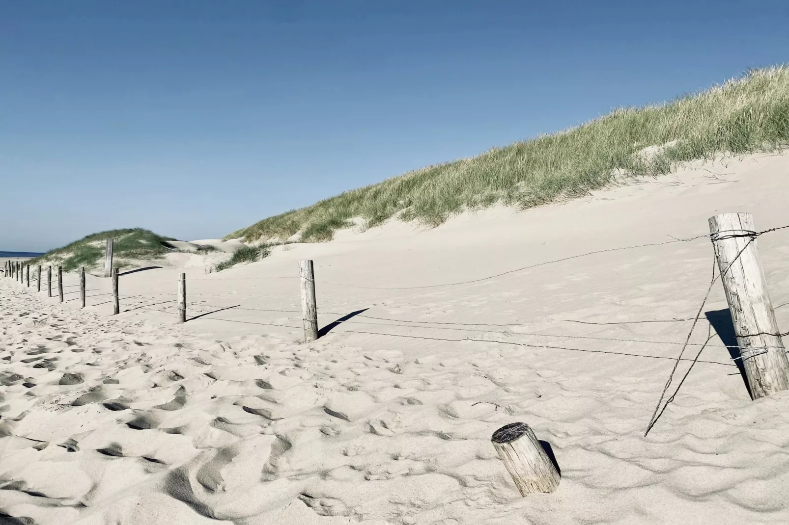 De Biotoop-Areas within 5km in summer