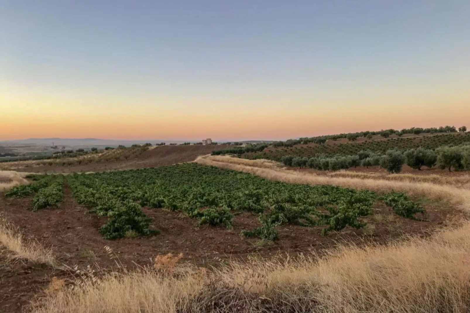 Villapark Ehzerburg 2-Areas within 20km in summer