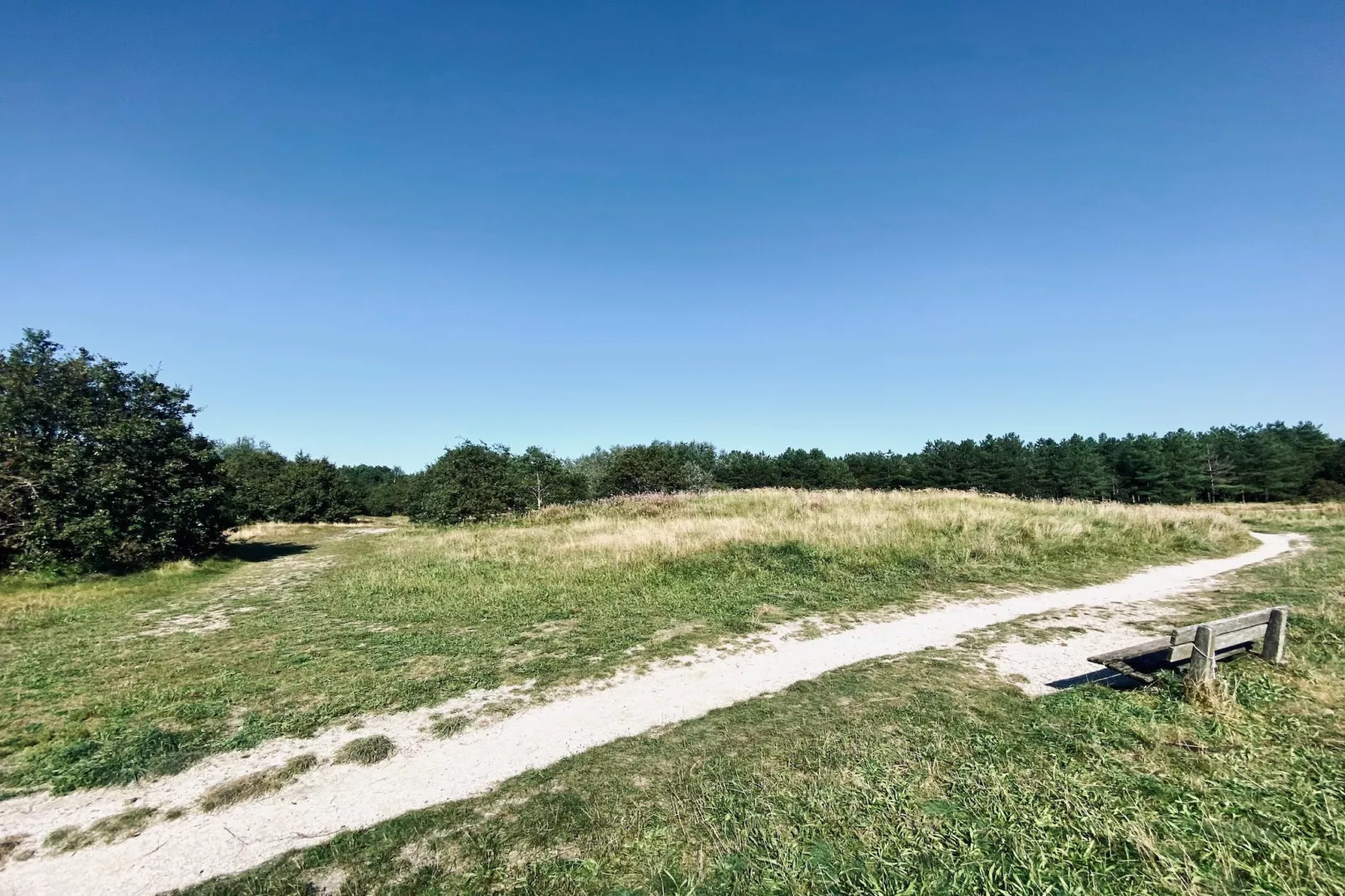 INFINITY-Areas within 5km in summer