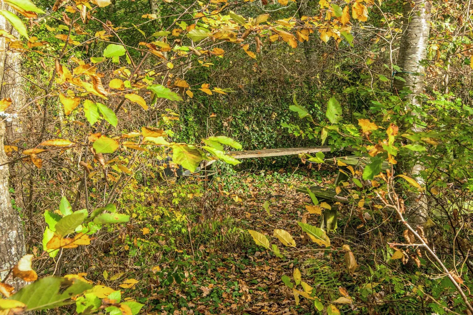 6 person holiday home in Knebel-By Traum-View