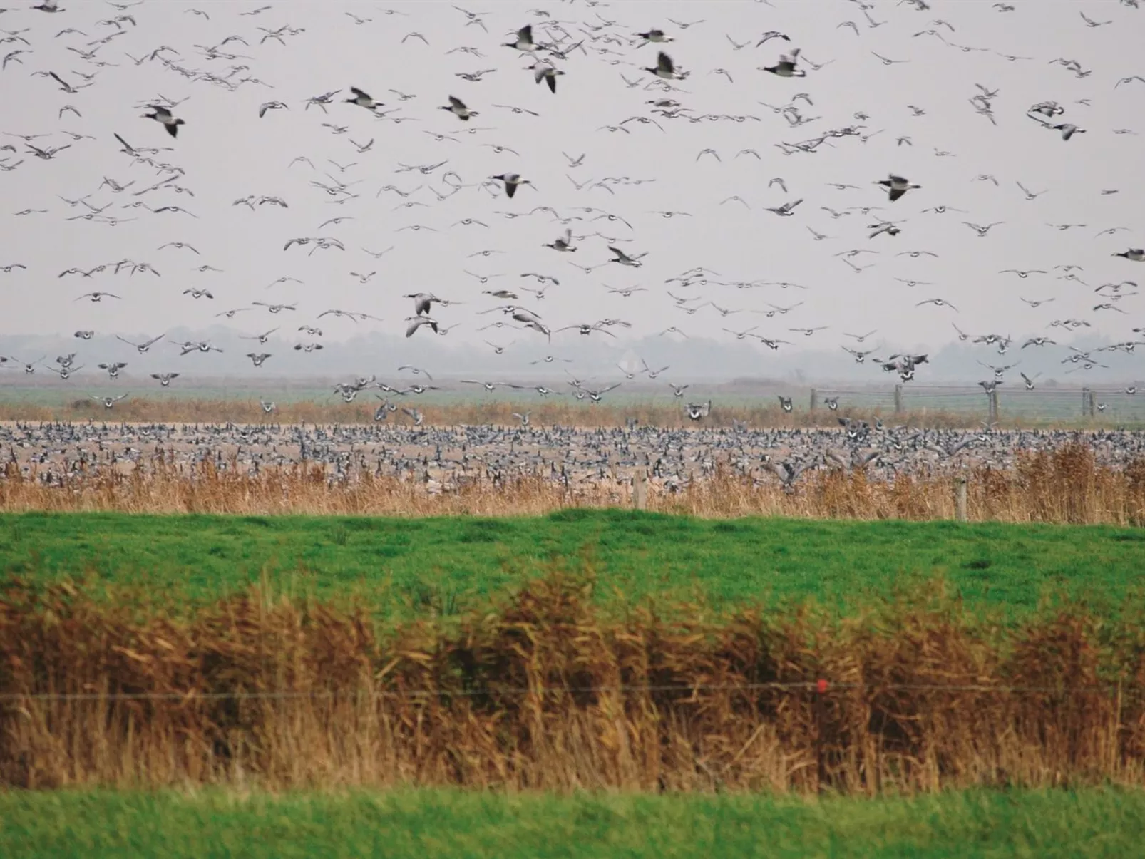 "Freek" - 400m from the sea-Outside