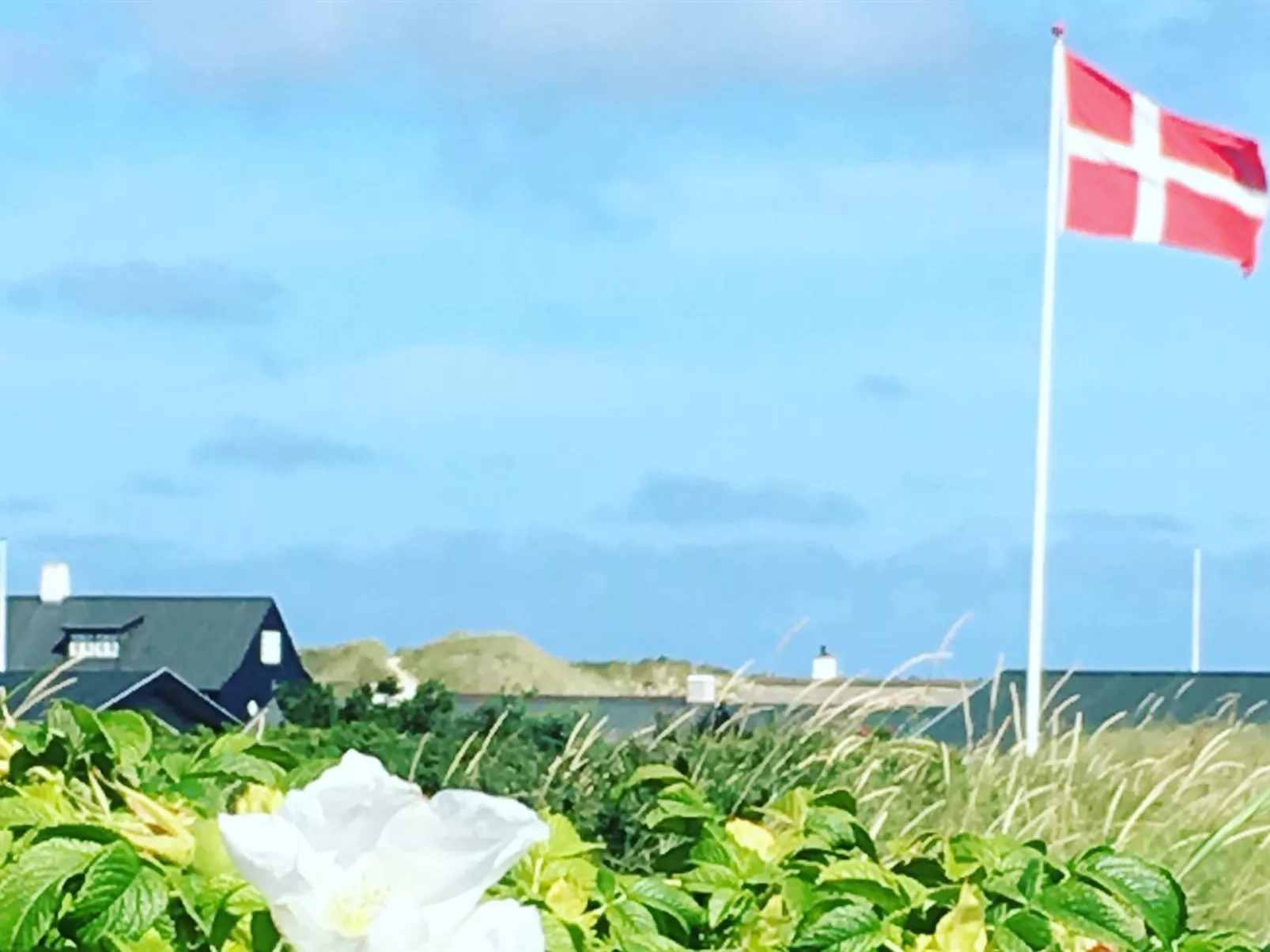 "Märta" - 300m from the sea-Outside