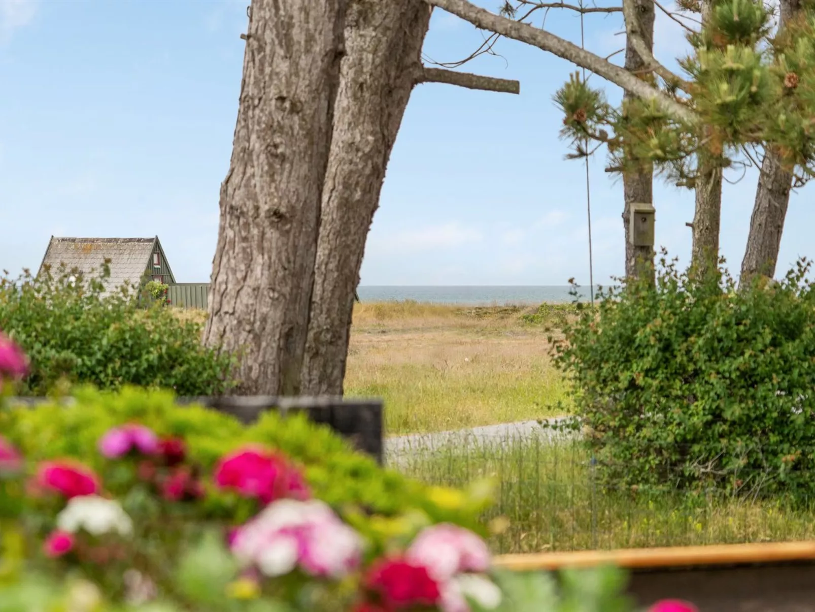 "Eivi" - 150m from the sea-Draußen