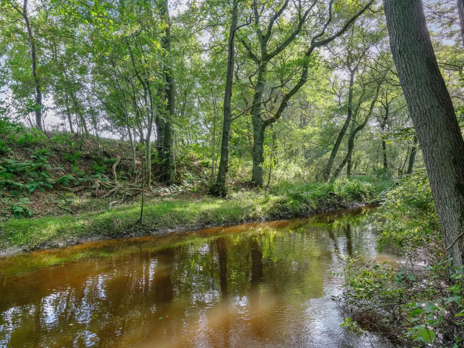 "Arnborg" - 2km from the sea-Dehors