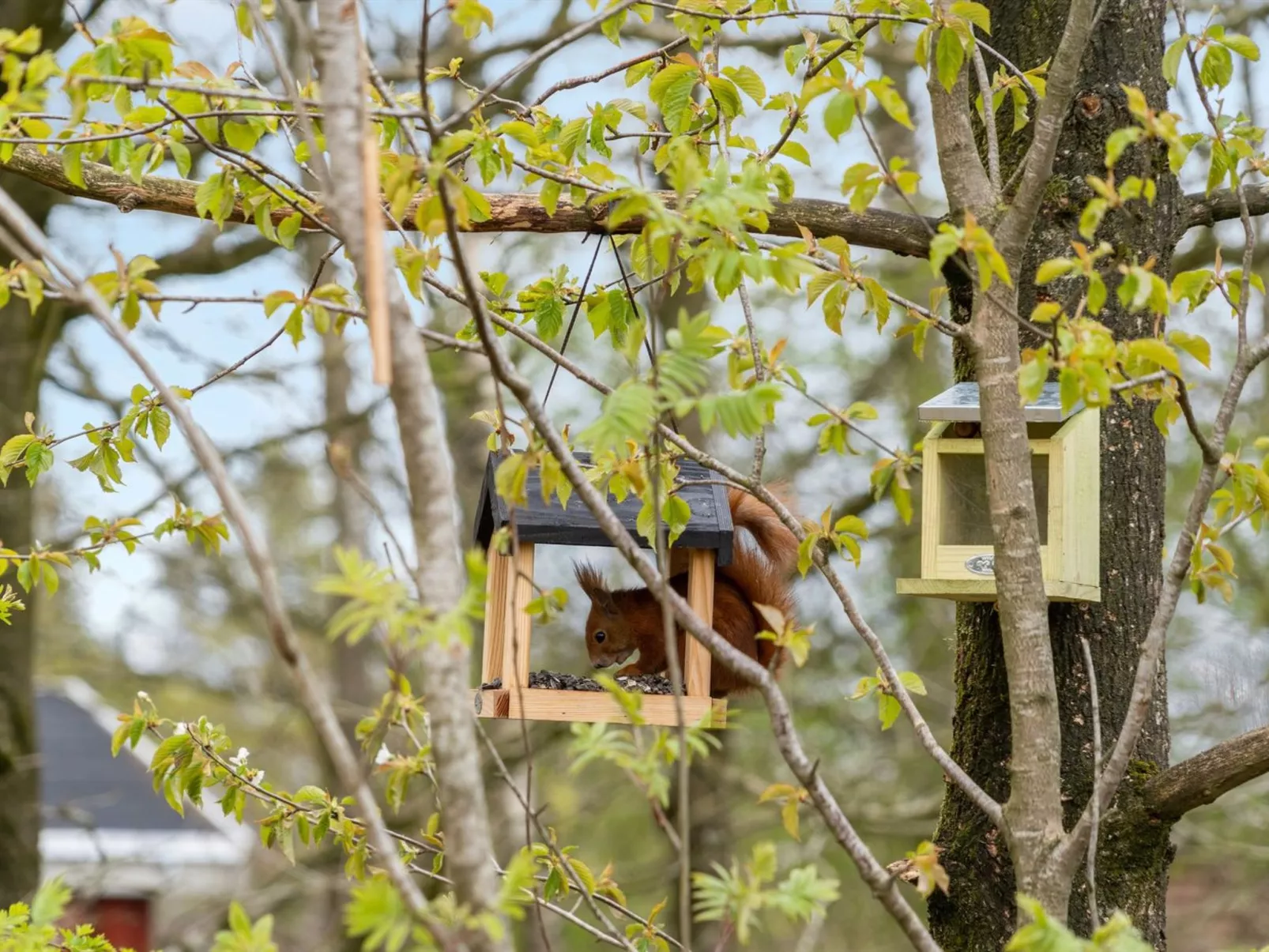 "Kea" - 30km from the sea-Inside