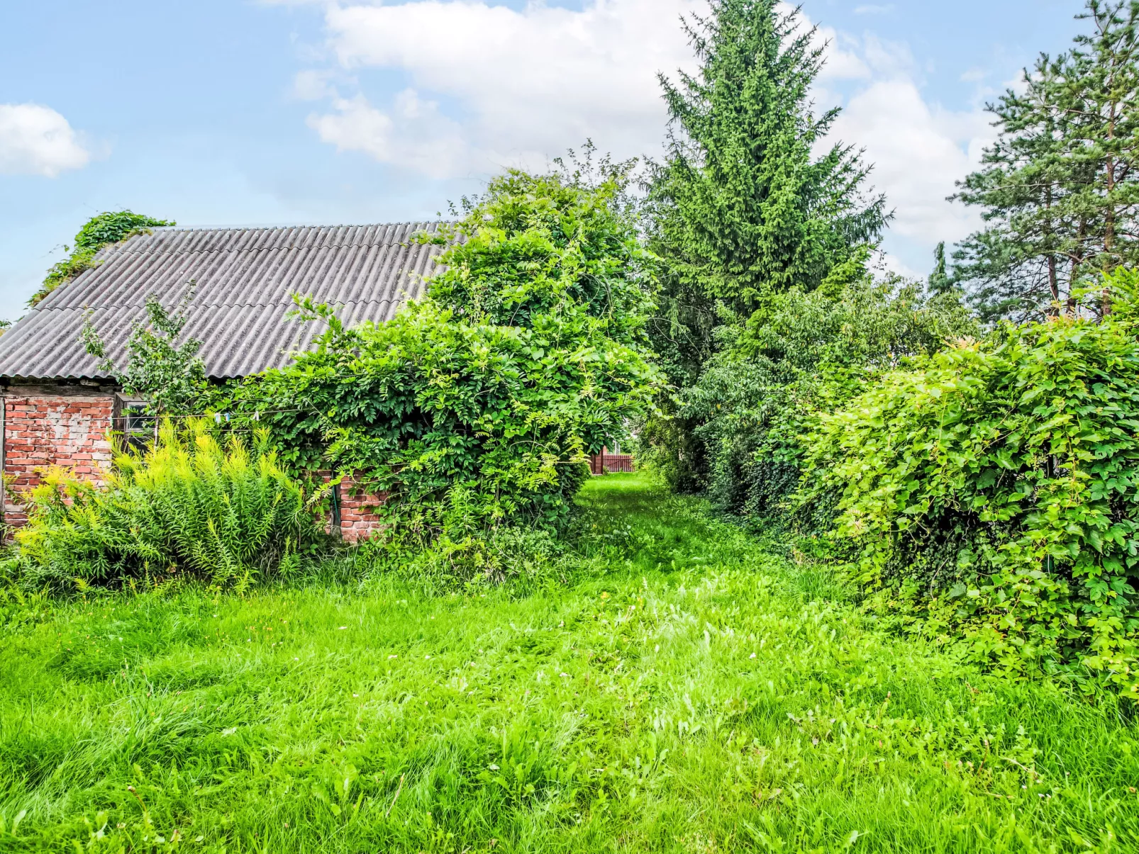 U Prababci Olgi-Draußen