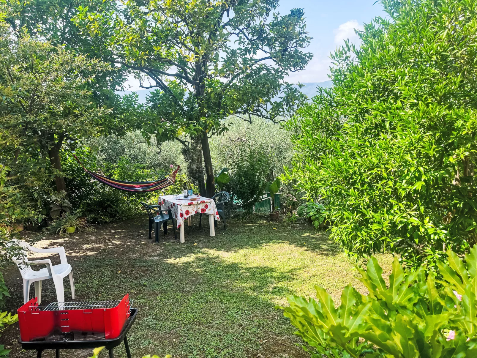 Elisa (DOL127)-Dehors