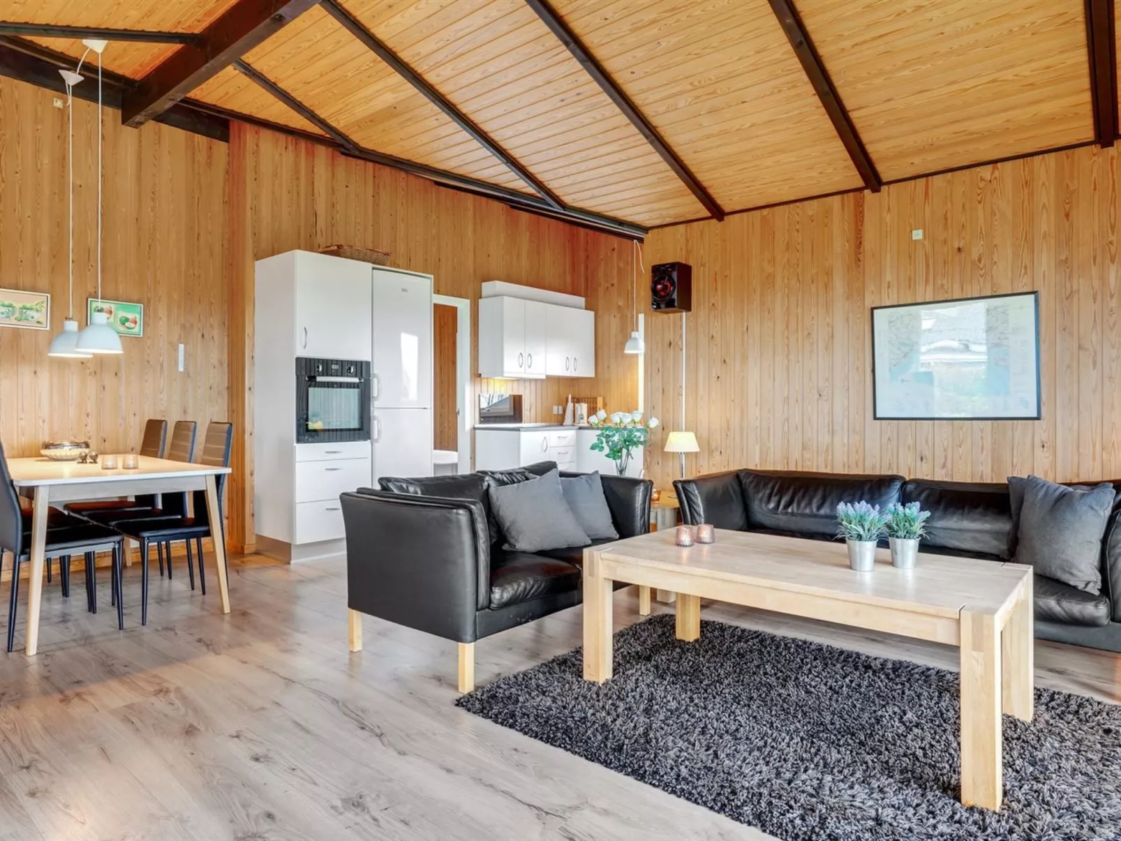 "Denahi" - 400m to the fjord-Dedans