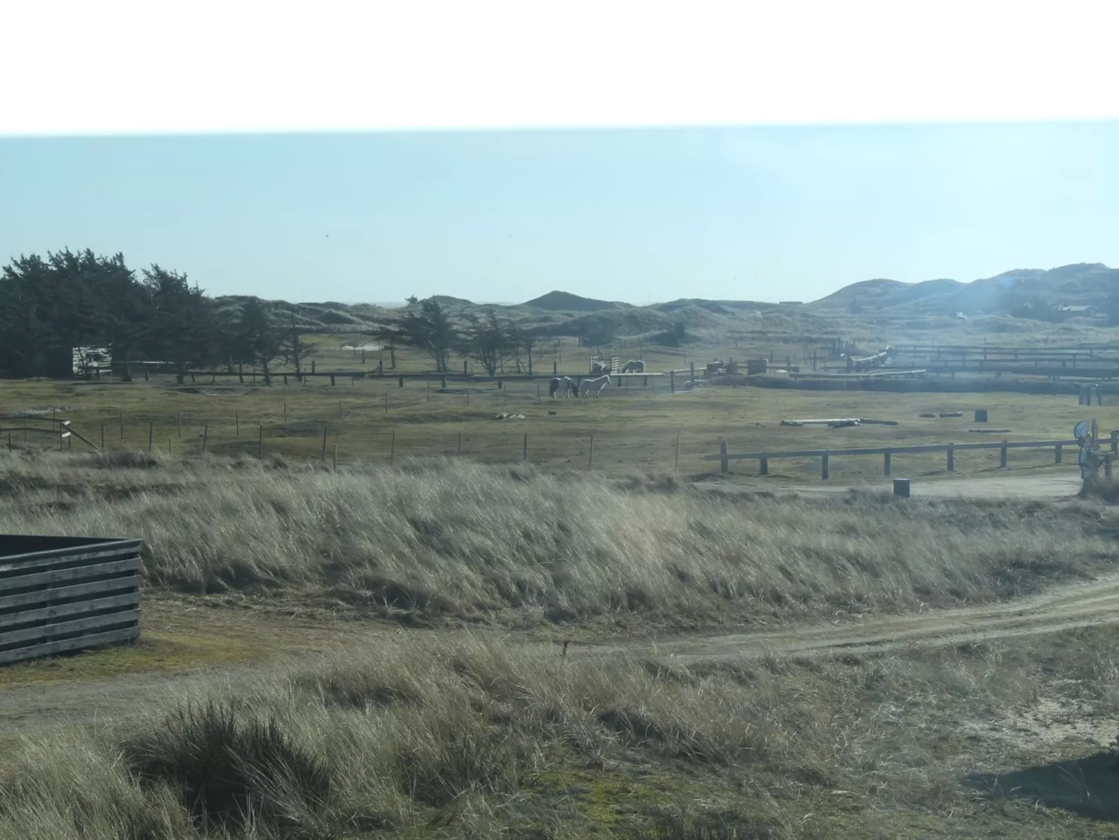 "Aslaug" - 500m from the sea-Outside