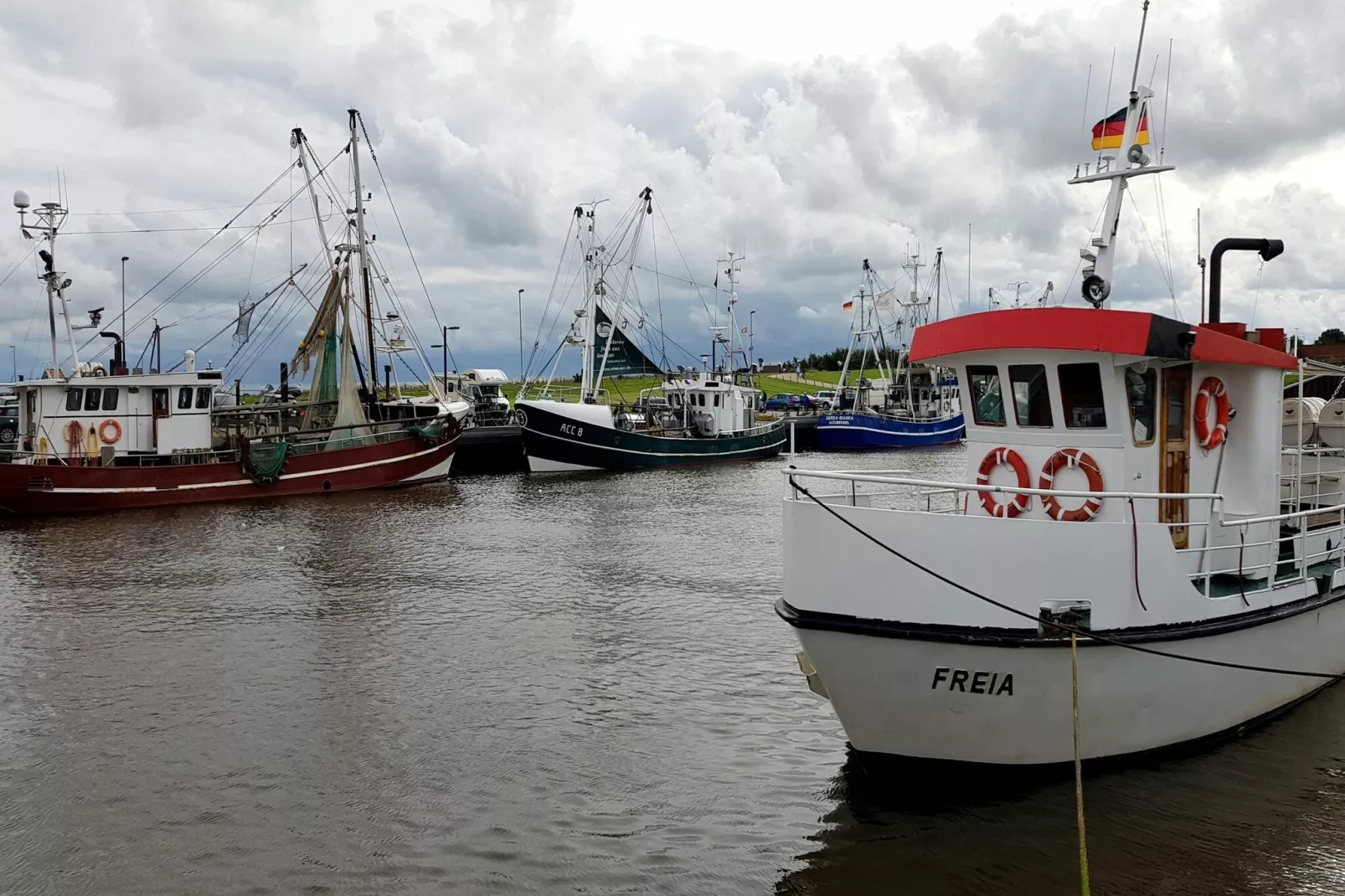 Ferienhaus Seeschwalbe-Areas within 5km in summer