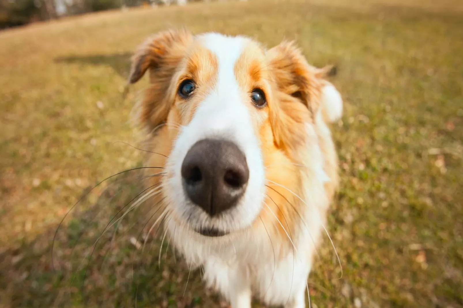 Domaine Des Messires 2-Ambiance