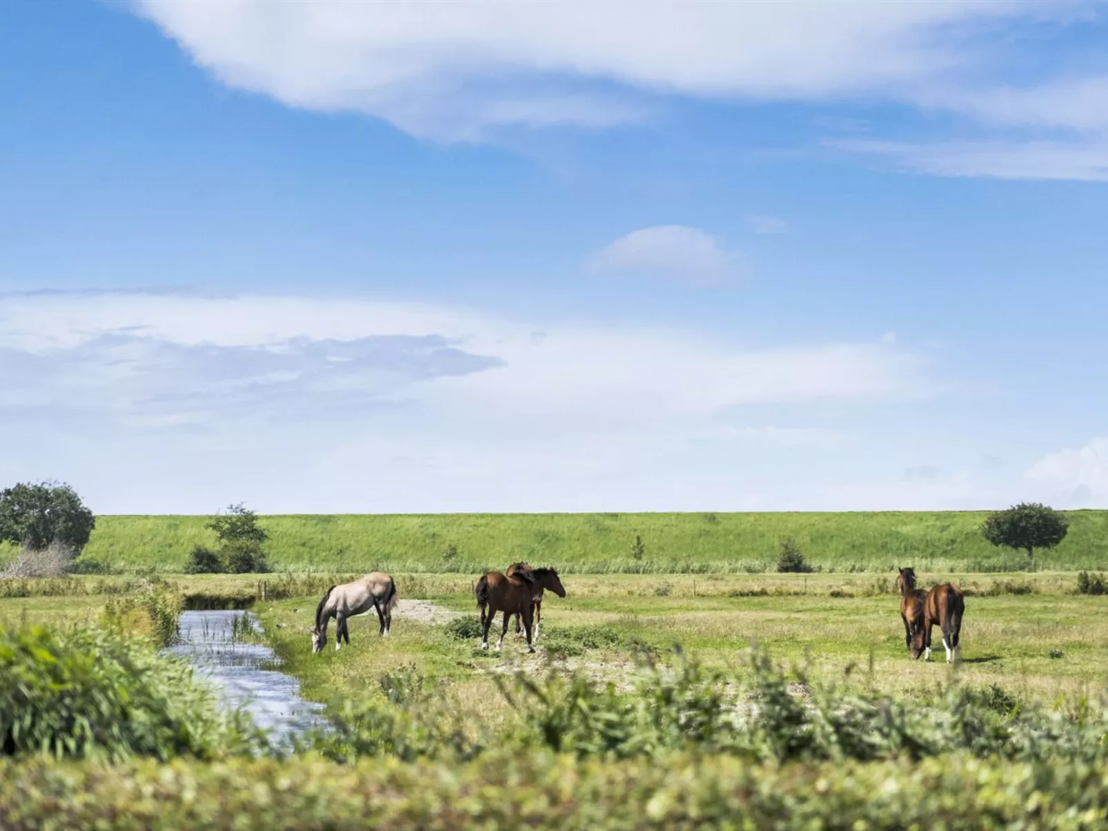 "Janin" - 400m from the sea-Draußen