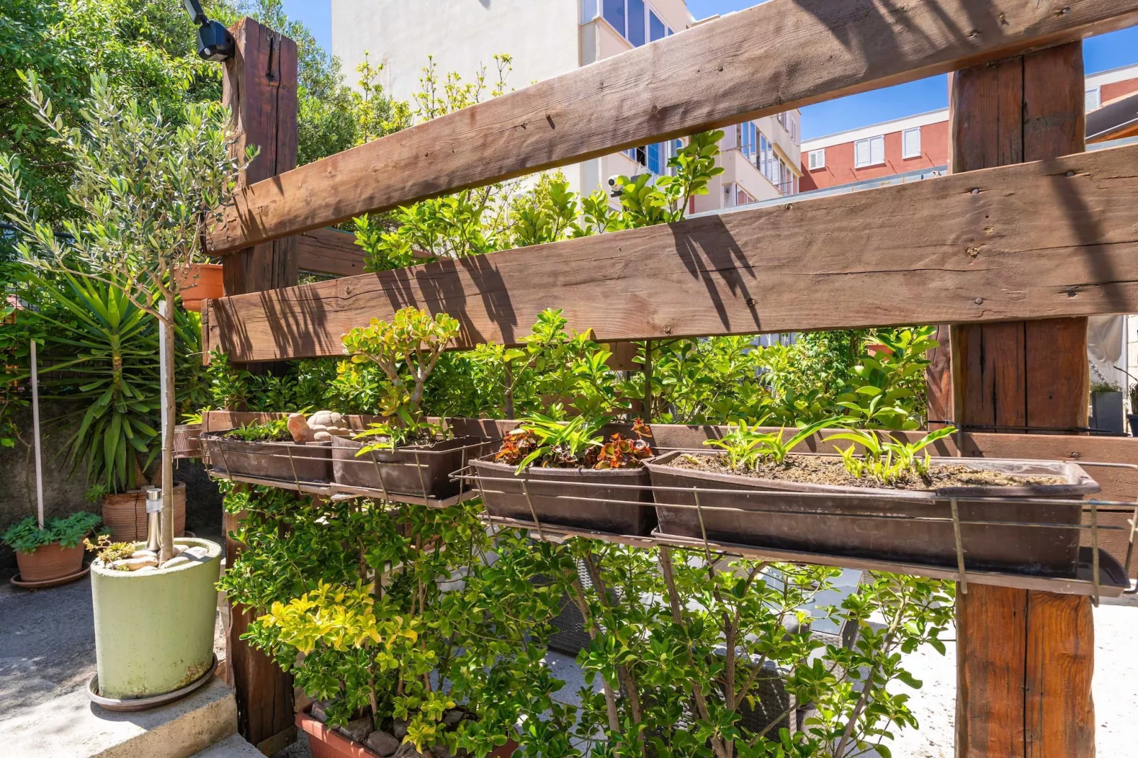 Apartments and Room Frane - Studio with Terrace-Terrace