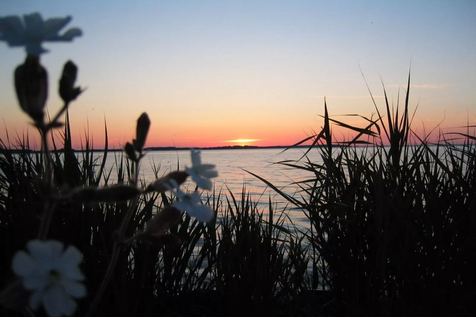 Mitteldeck 503-Gebiete Sommer 20 km