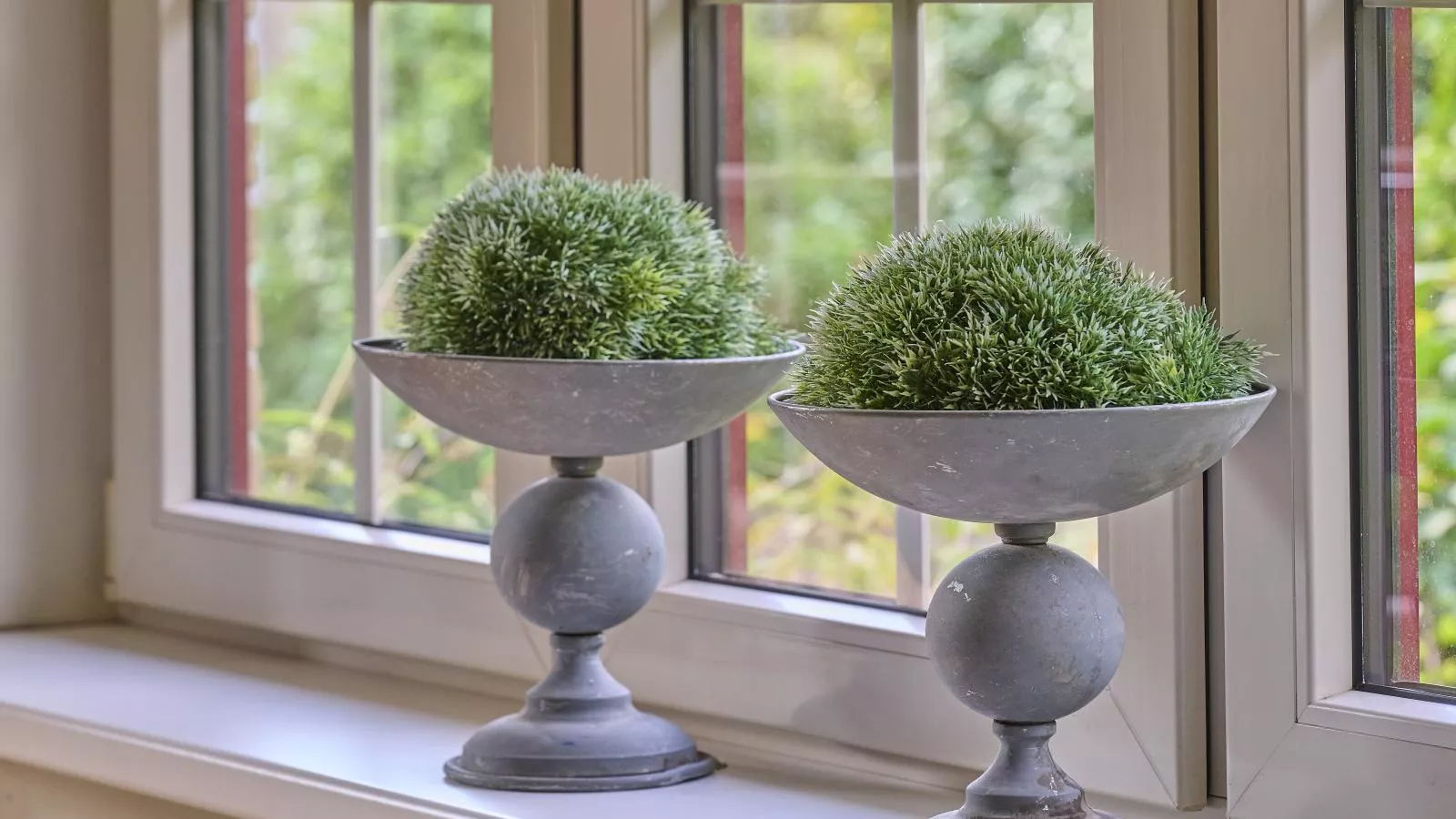 Heidepracht-Ambiance