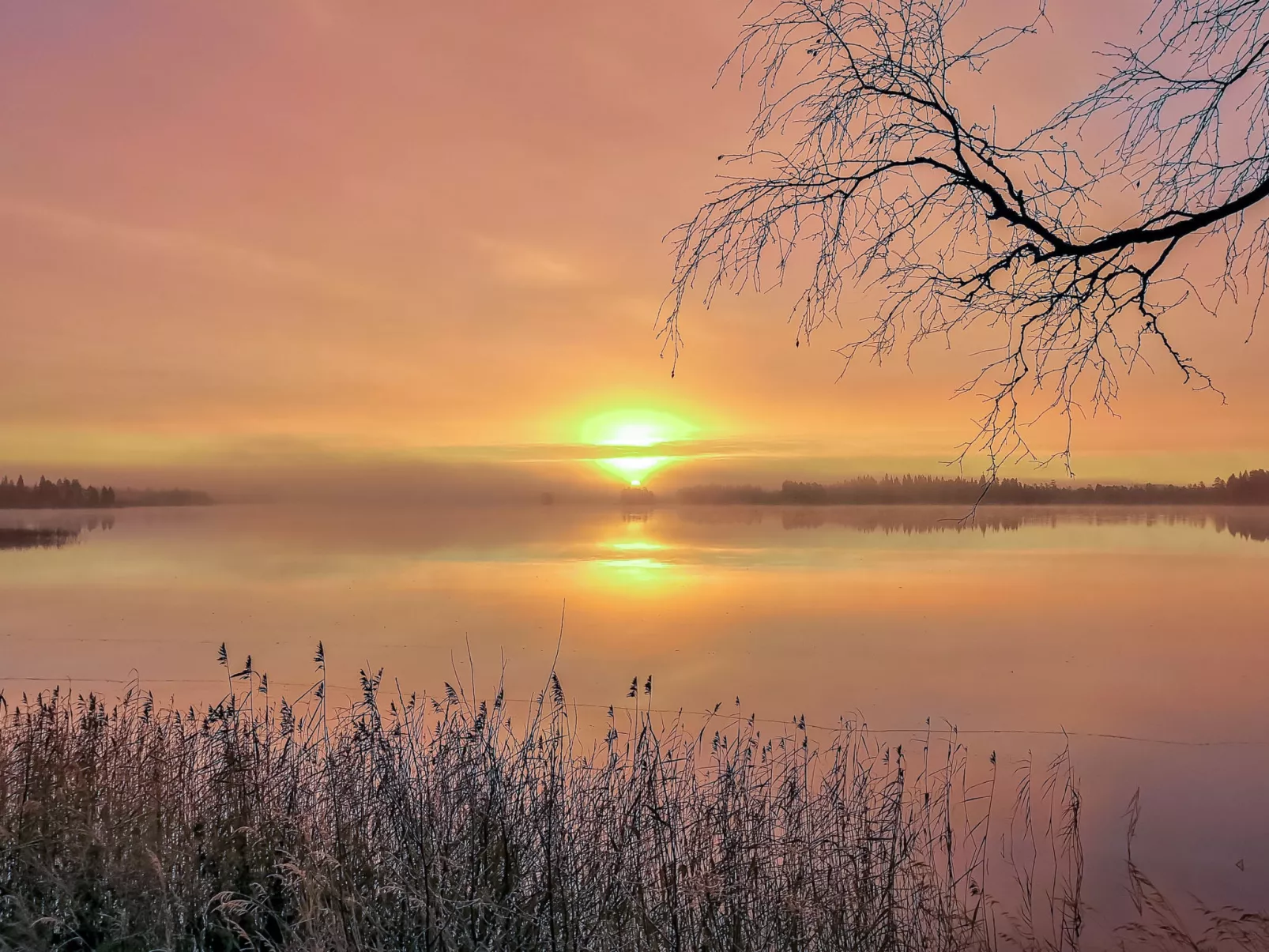 Lystikämän tupa-Dedans