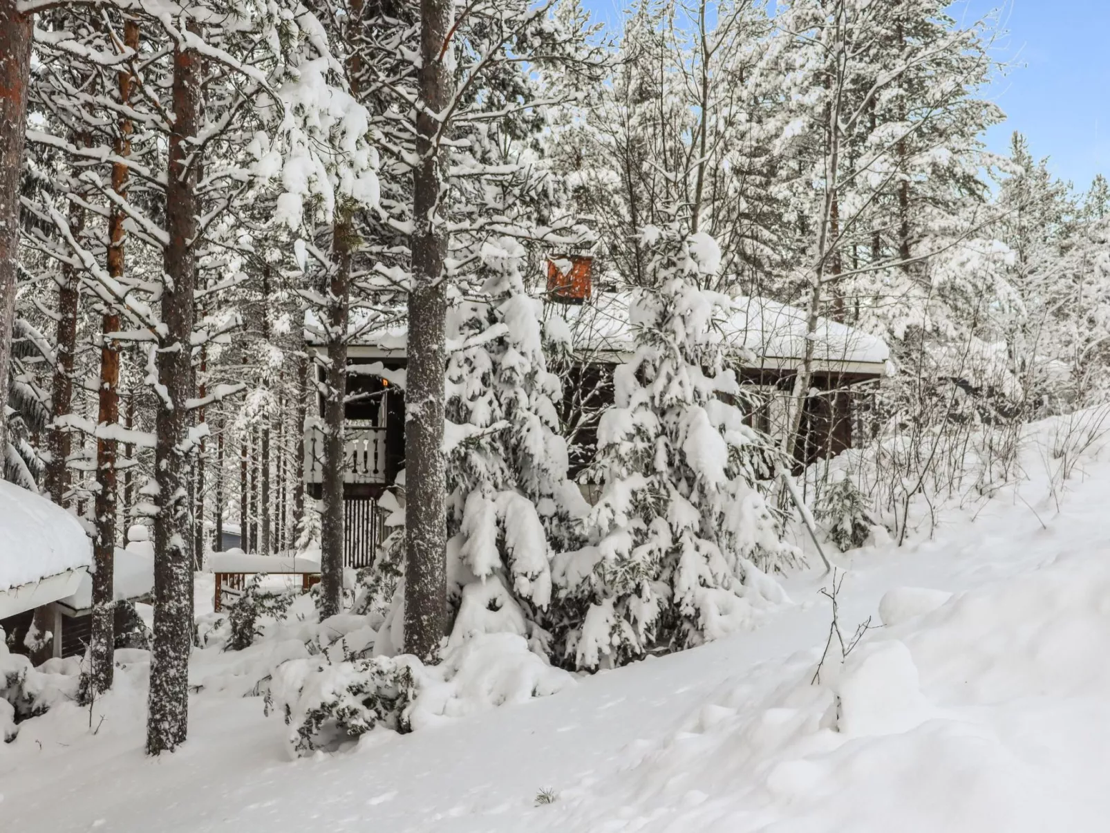 Hyrynpirtti mökki-Dedans