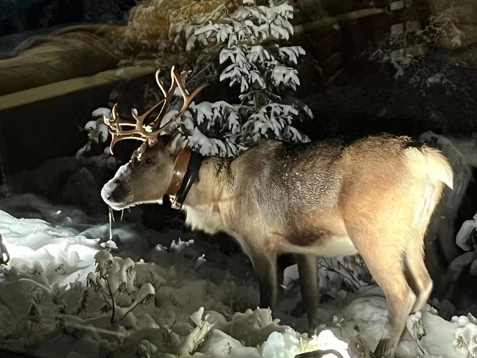 Villa lumimarja-Dedans