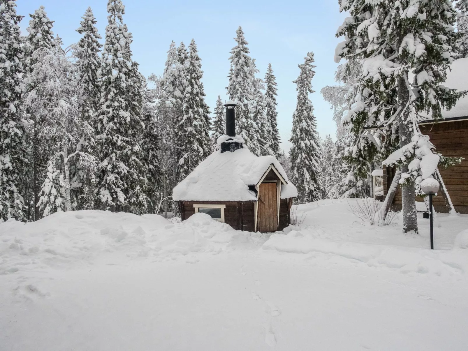 Vuokatin wassu-Dedans